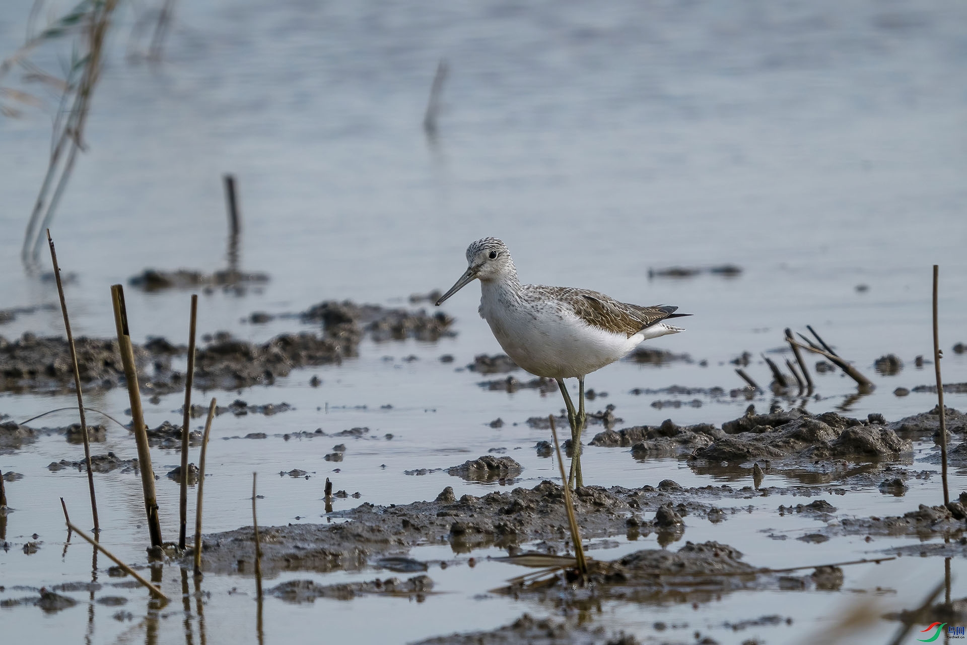 05 PB140507-DeNoiseAI-standard.jpg