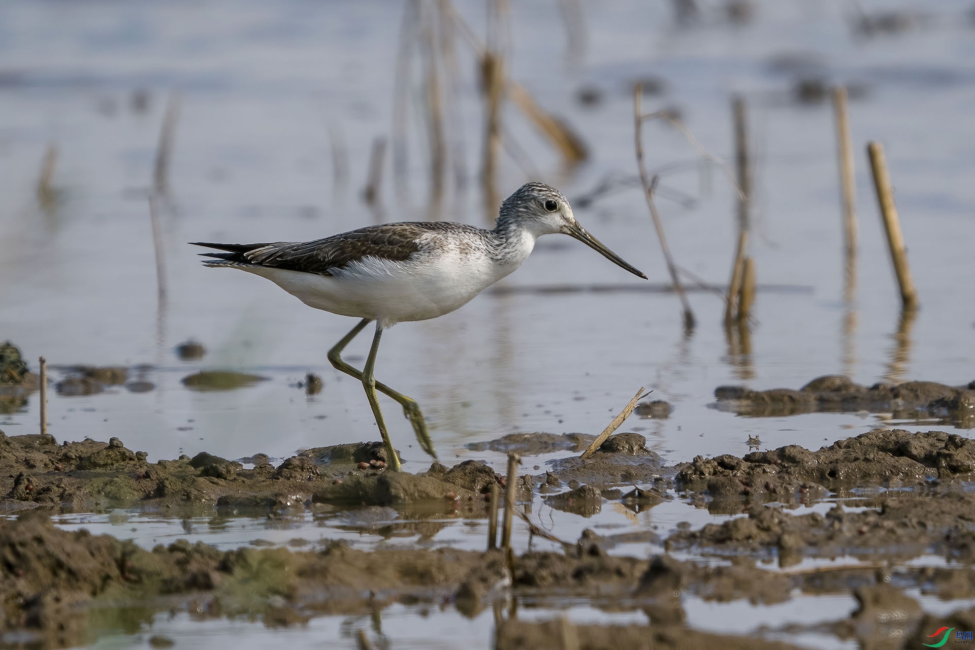 06 PB140480-DeNoiseAI-standard.jpg