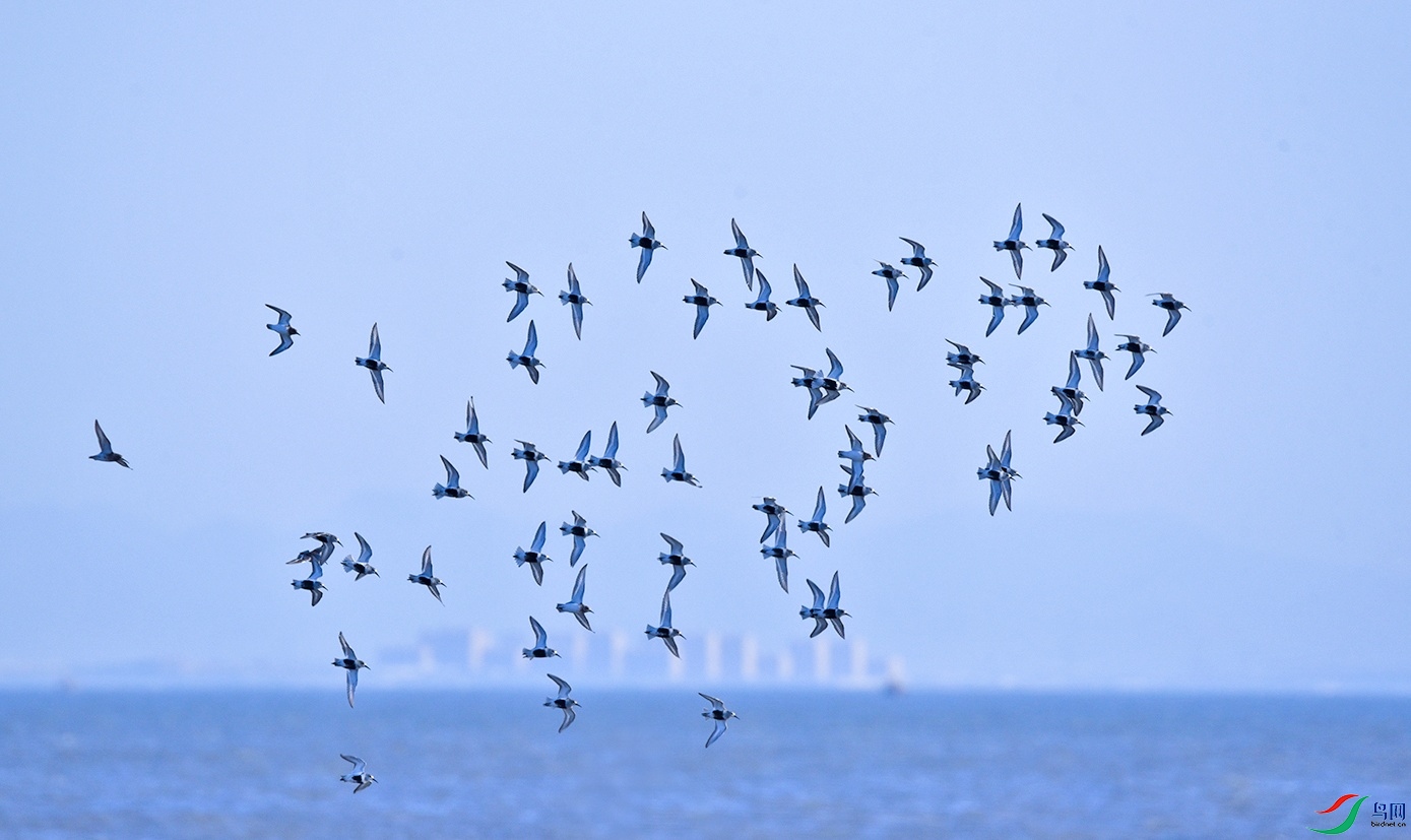 DSC_2929f_��ͼ��.jpg