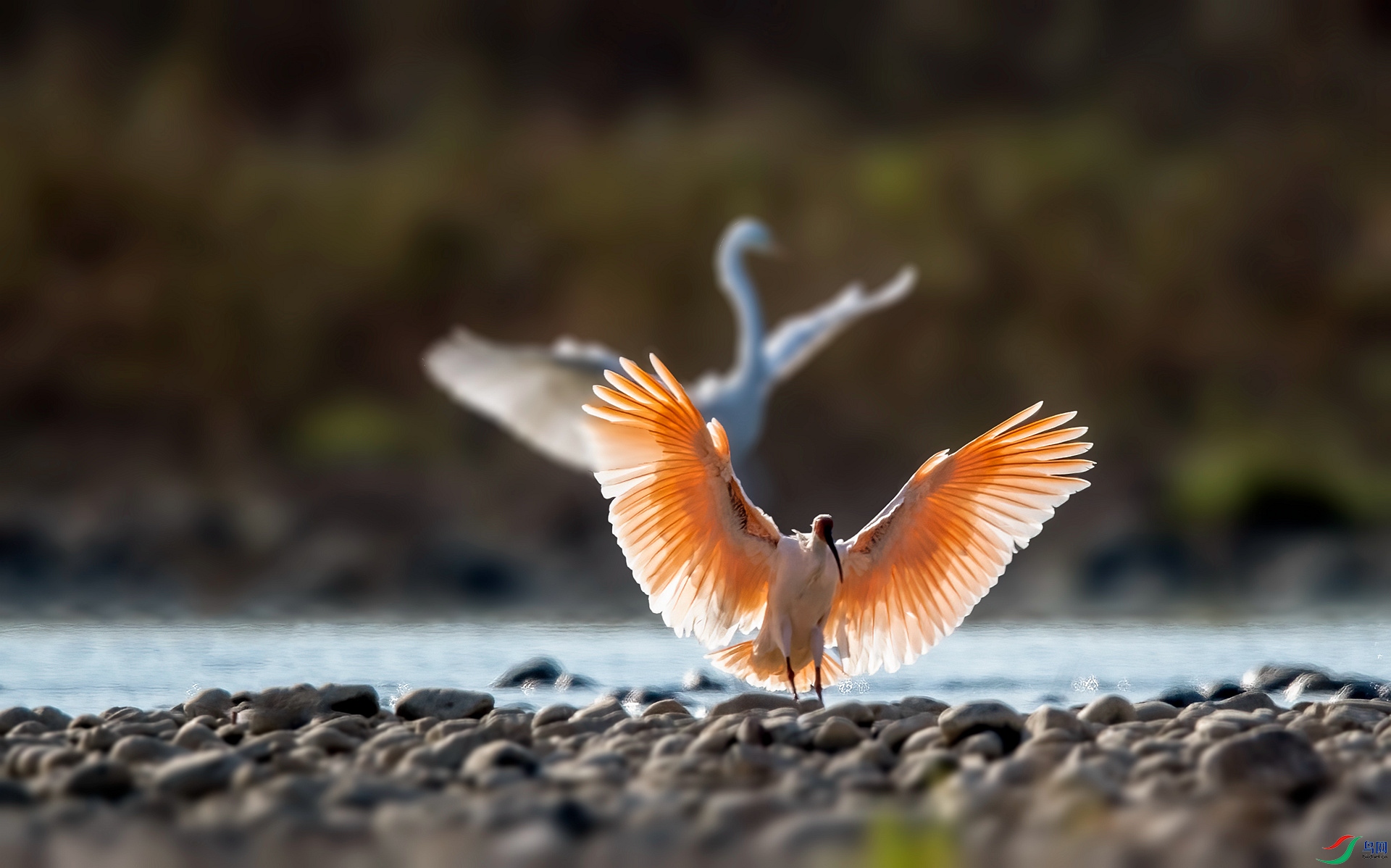 DSC_2079 ����_����.jpg