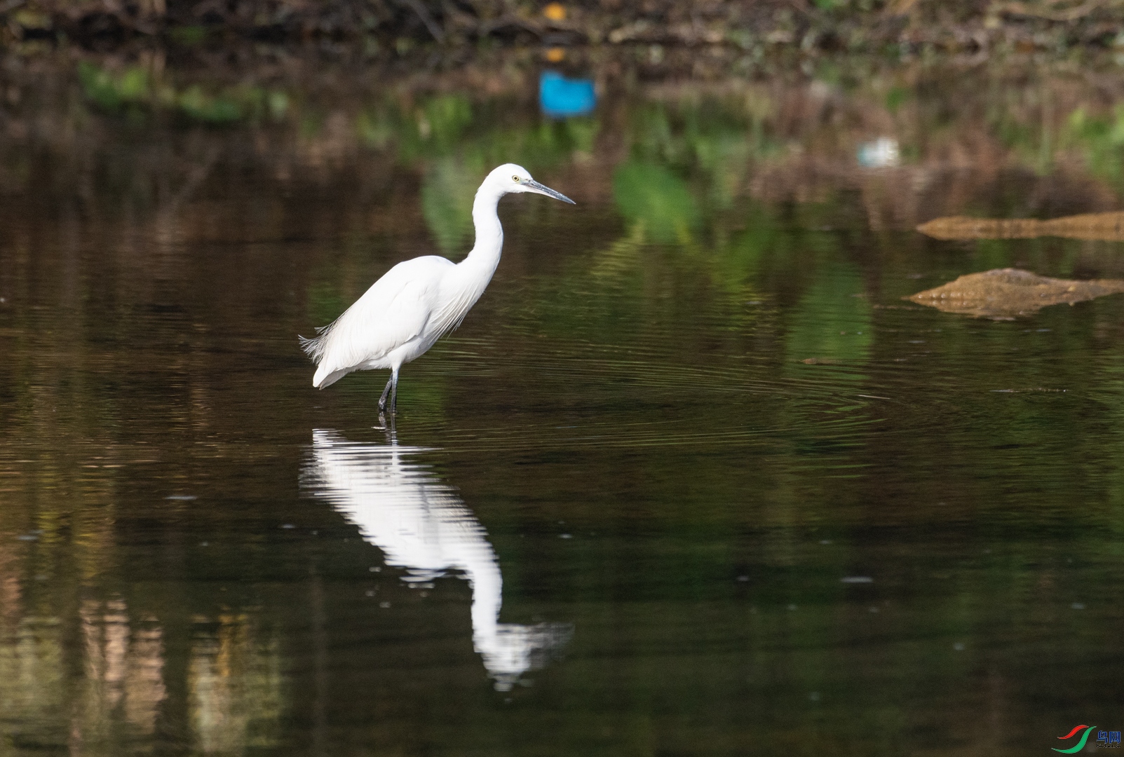 DSC_2576.jpg