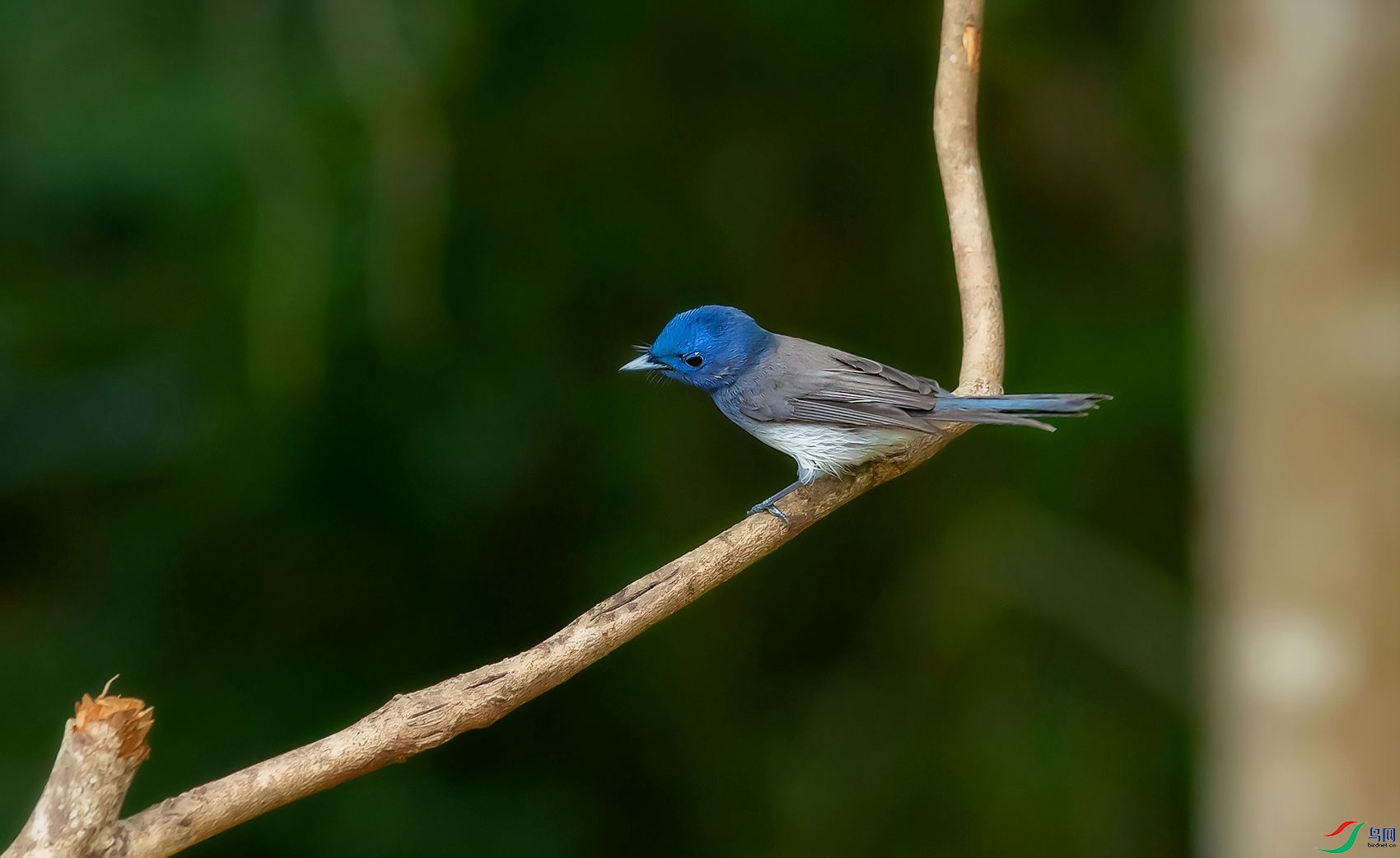 DSC_2899.jpg