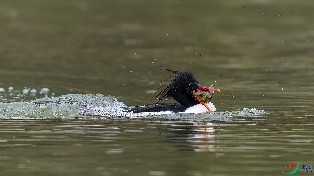 jxwyR230312 (727)_DxO.jpg