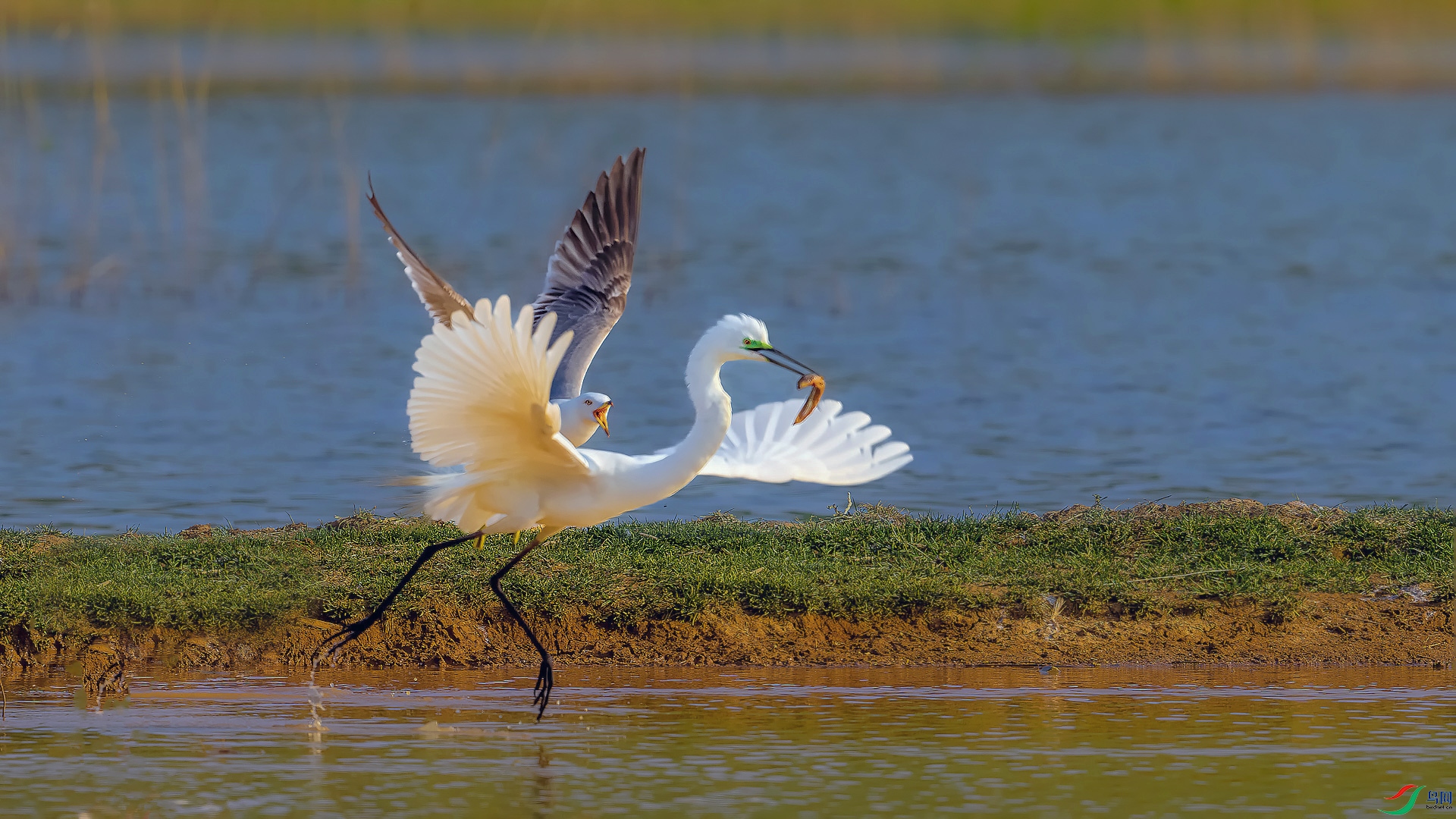DSC_4128==1w.jpg