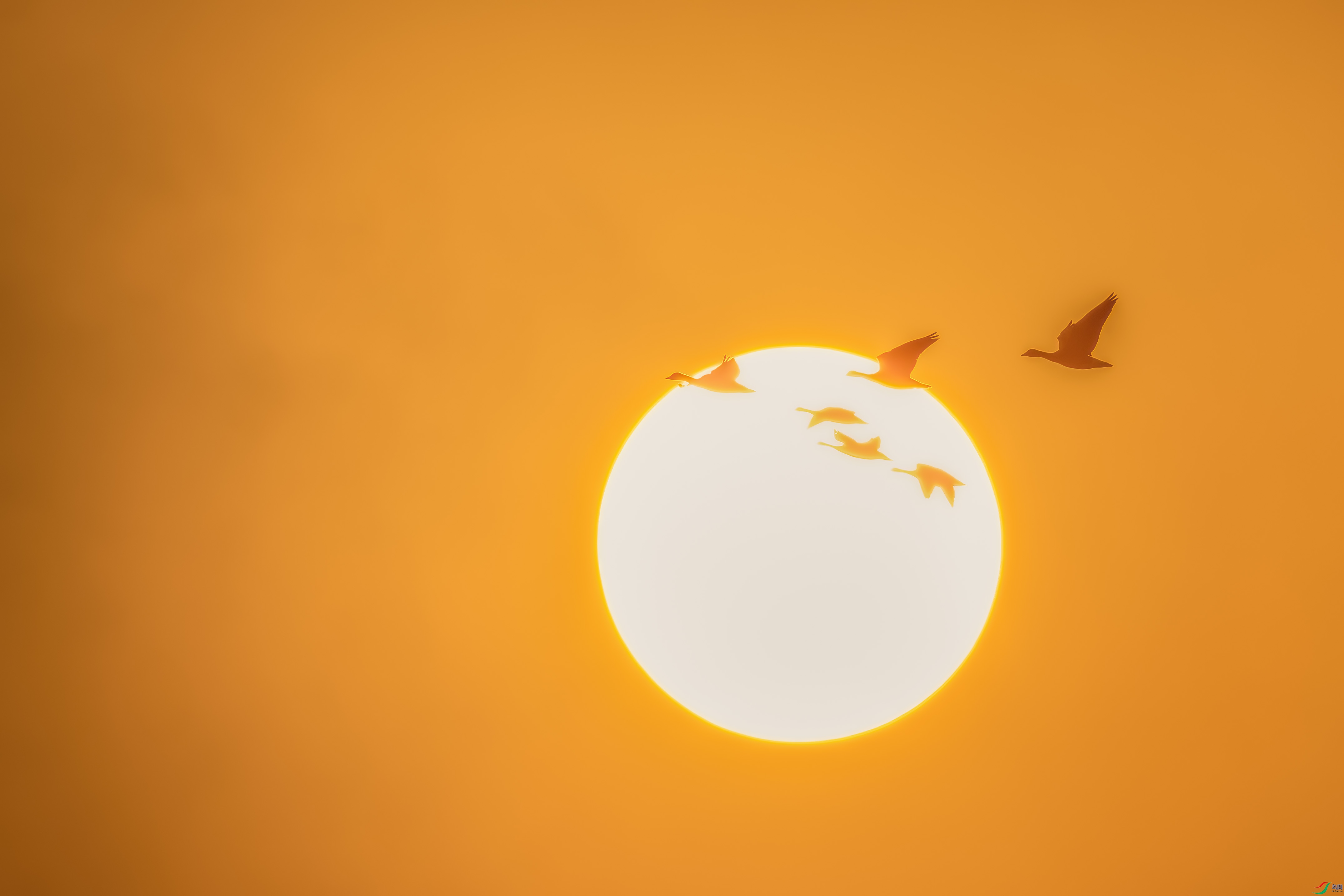 0M3A0018 ����.jpg