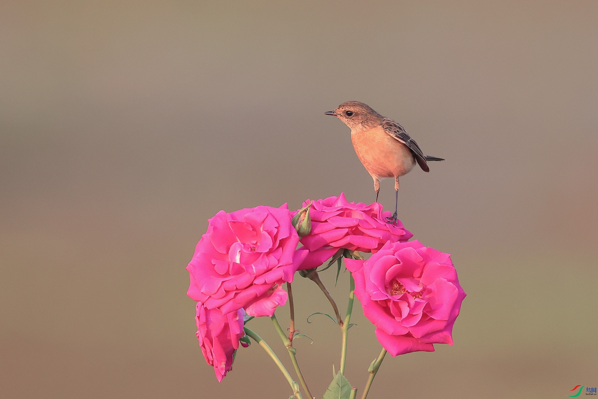 1M6A9199 ����_����.jpg