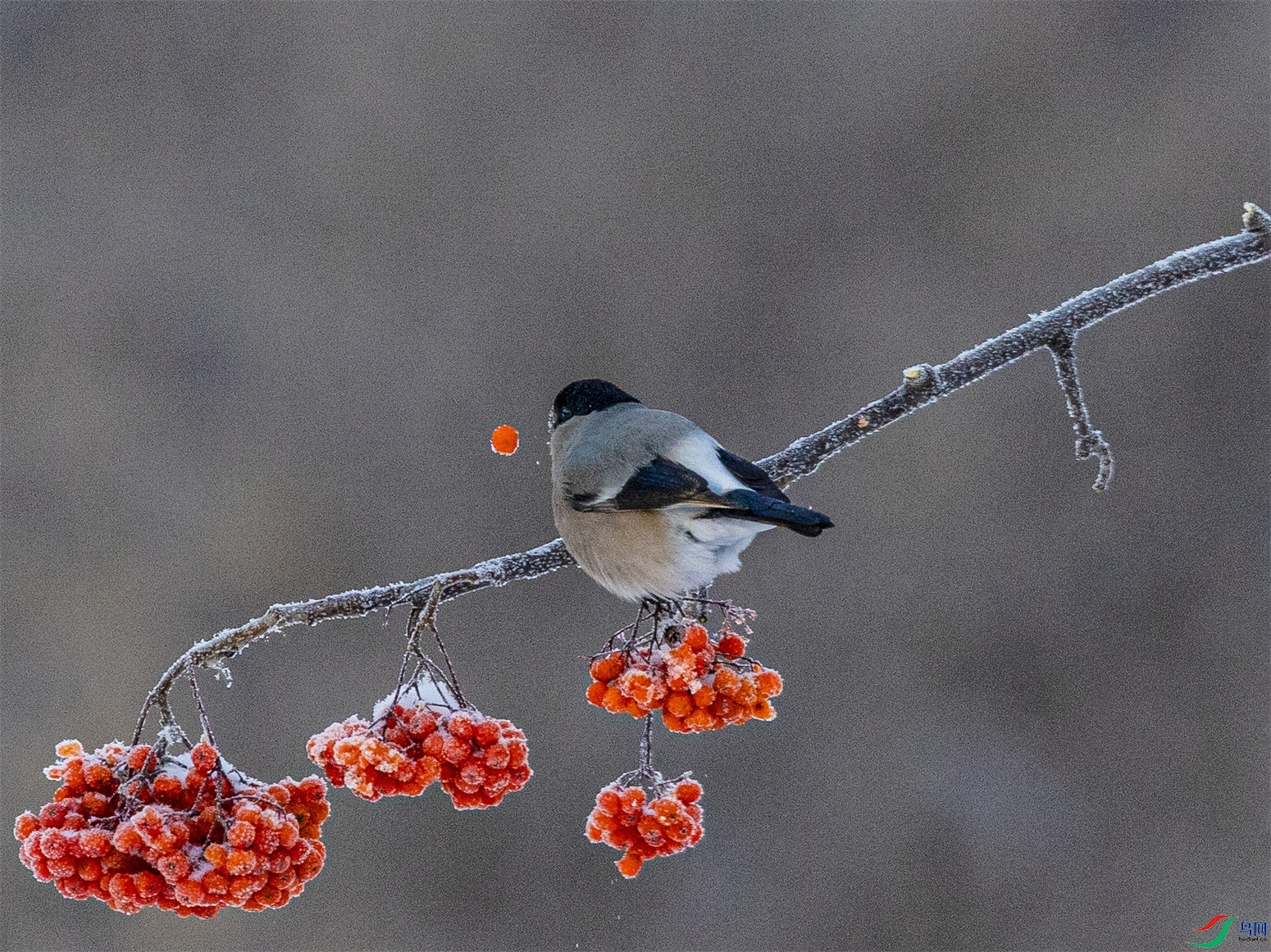 1K3A4722 ����1.jpg