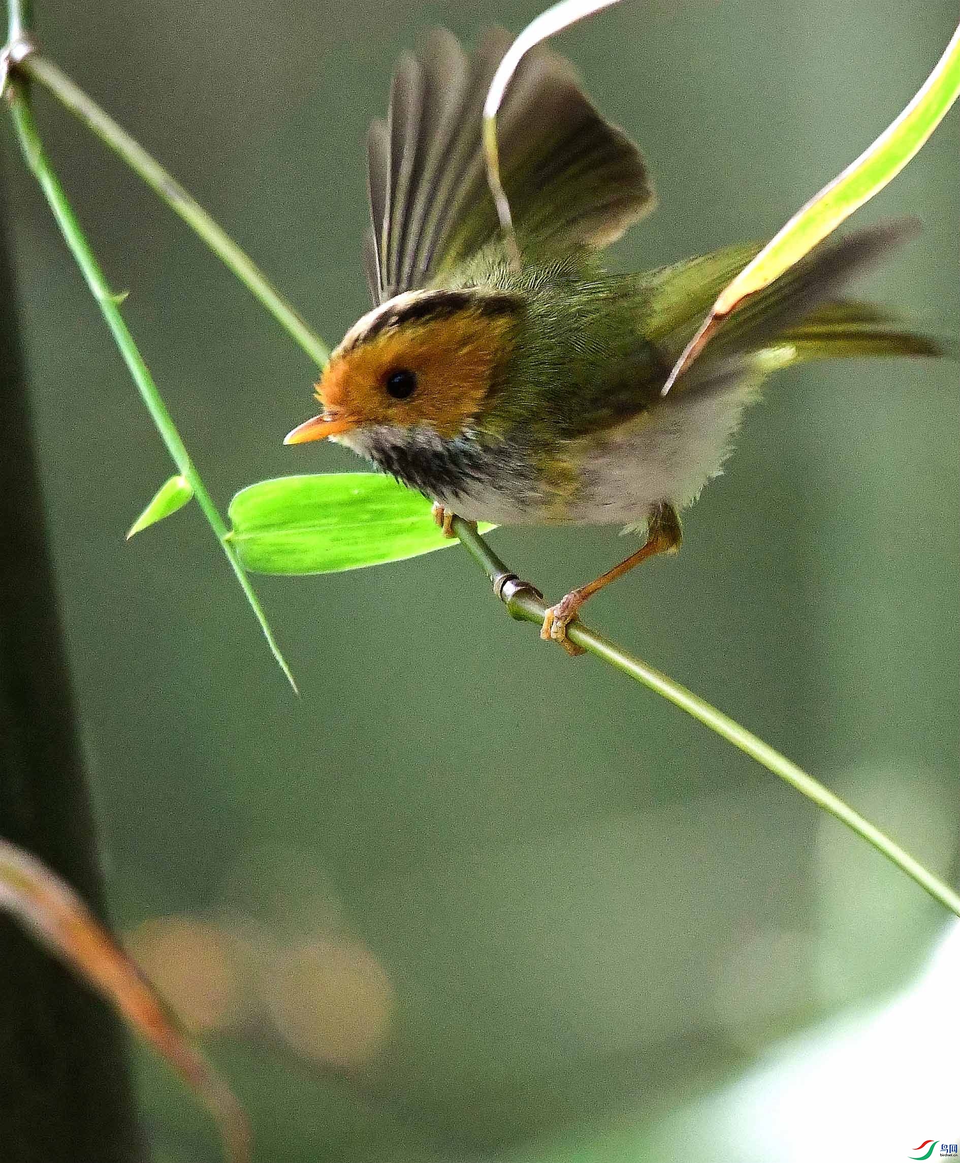 DSC_7743_����.jpg
