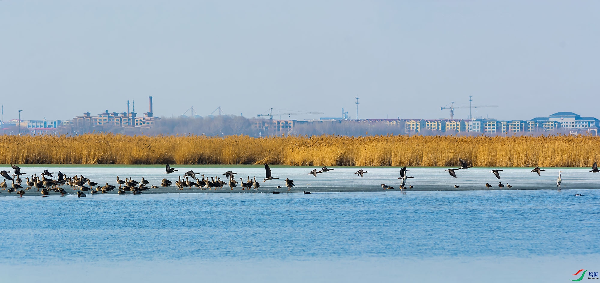 hn2018.03.21DSC_1026-Pano.jpg