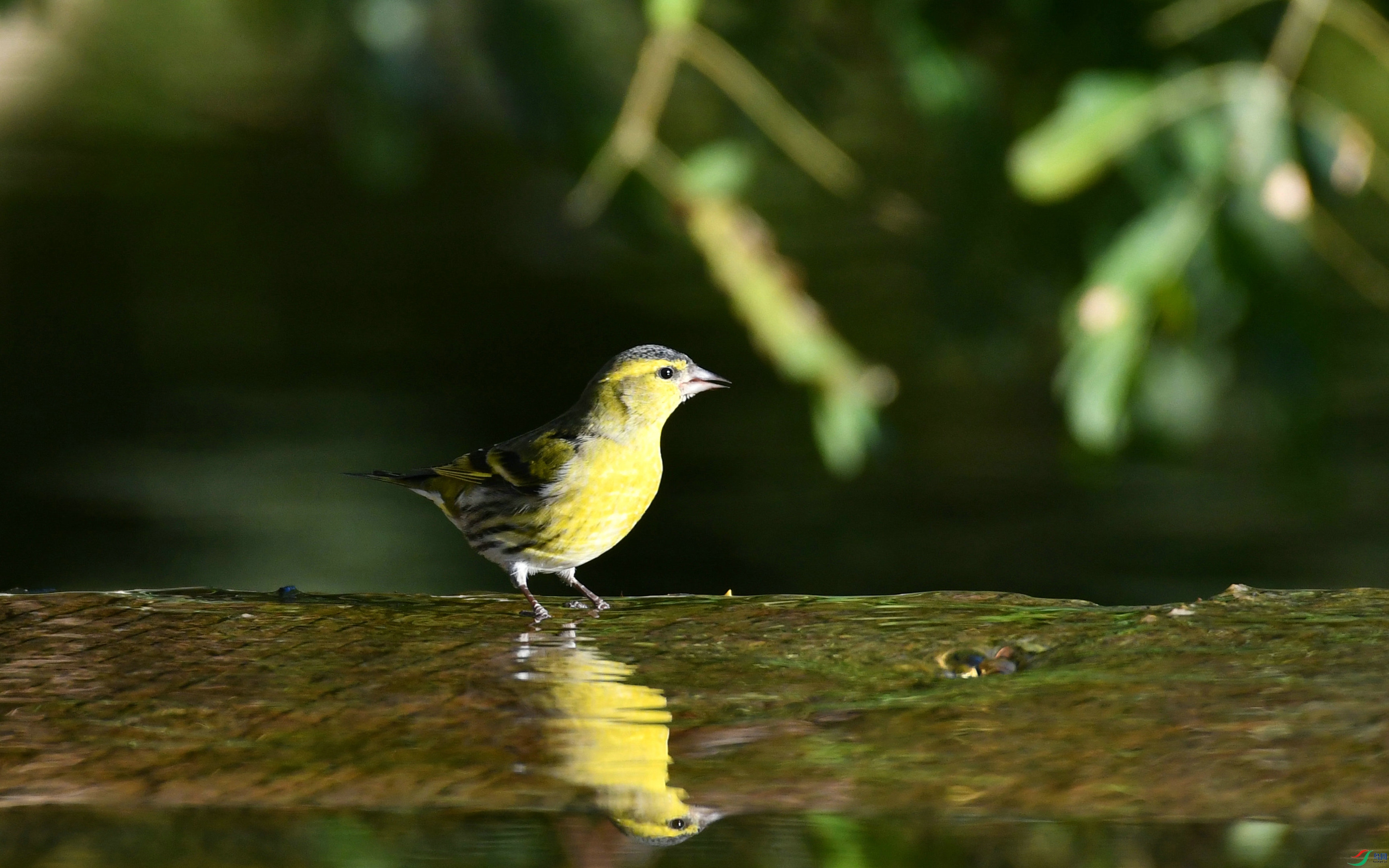 DSC_8884.JPG