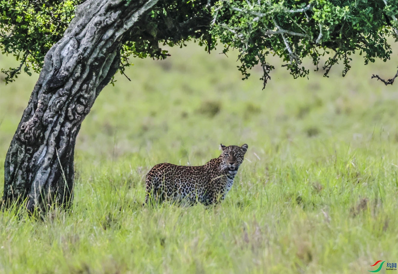 ���¡�����������16 ����.jpg