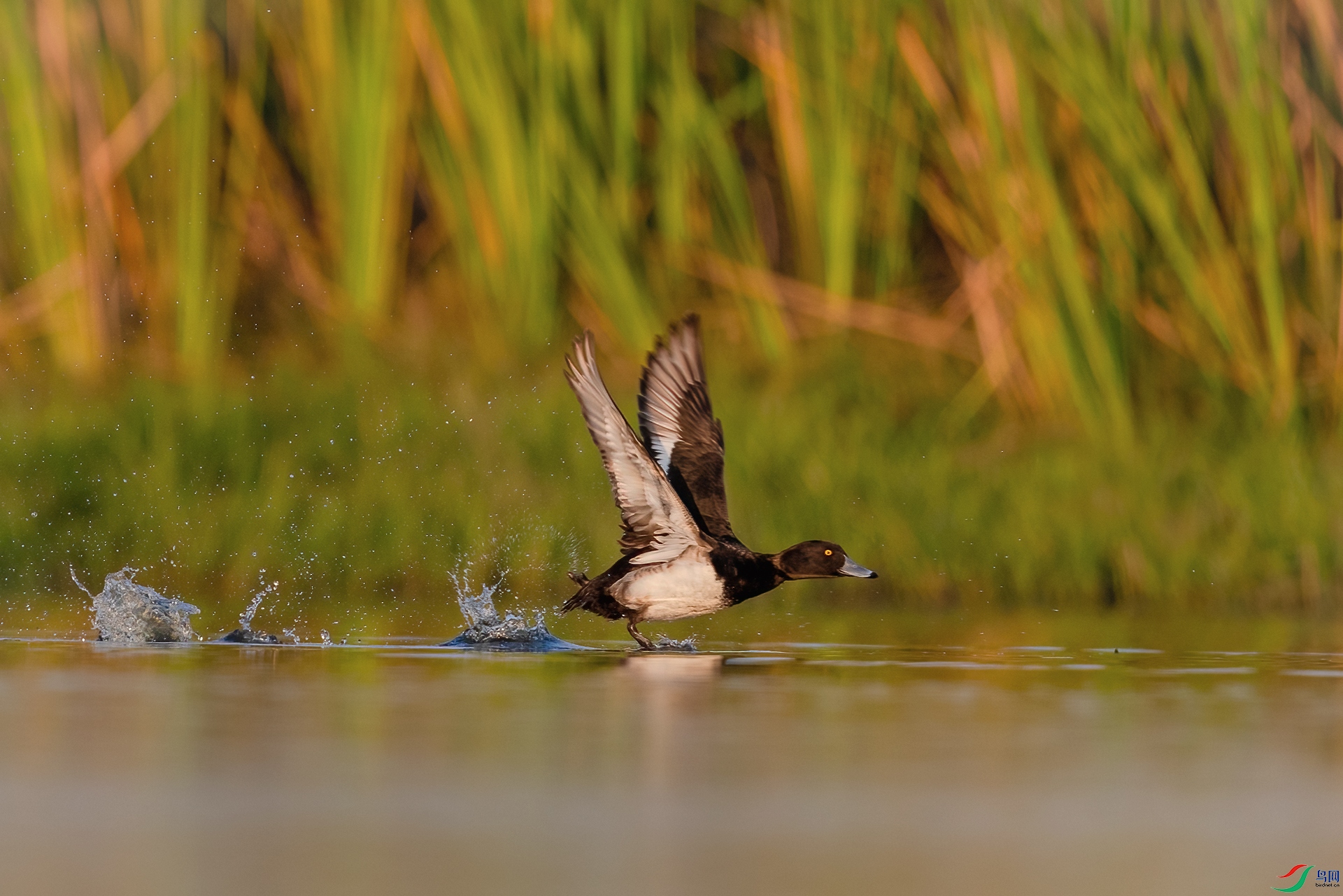 A75A0814-�༭ ����.jpg