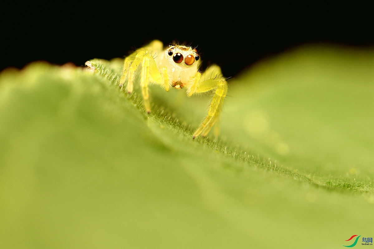 DSC_8229_NW.jpg