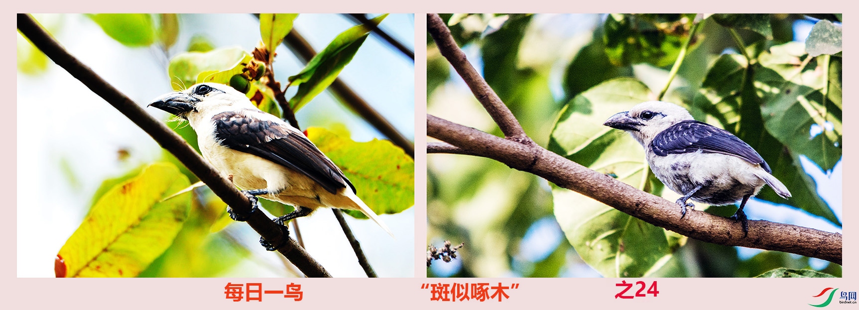 DSC_2787aa.jpg