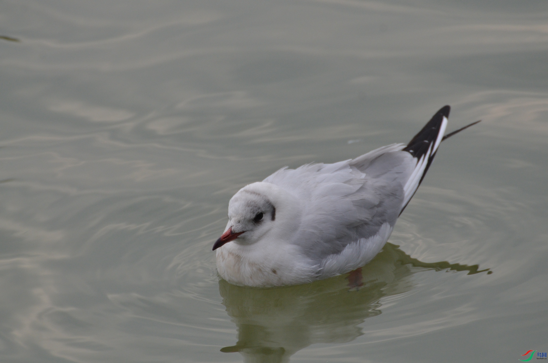DSC_4013.JPG