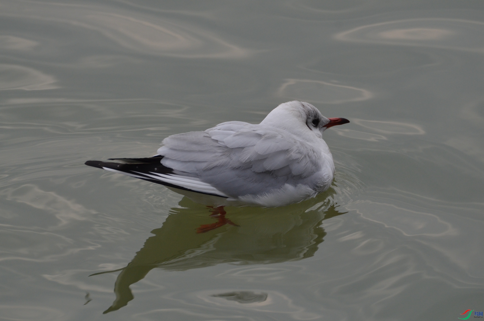 DSC_4009.JPG