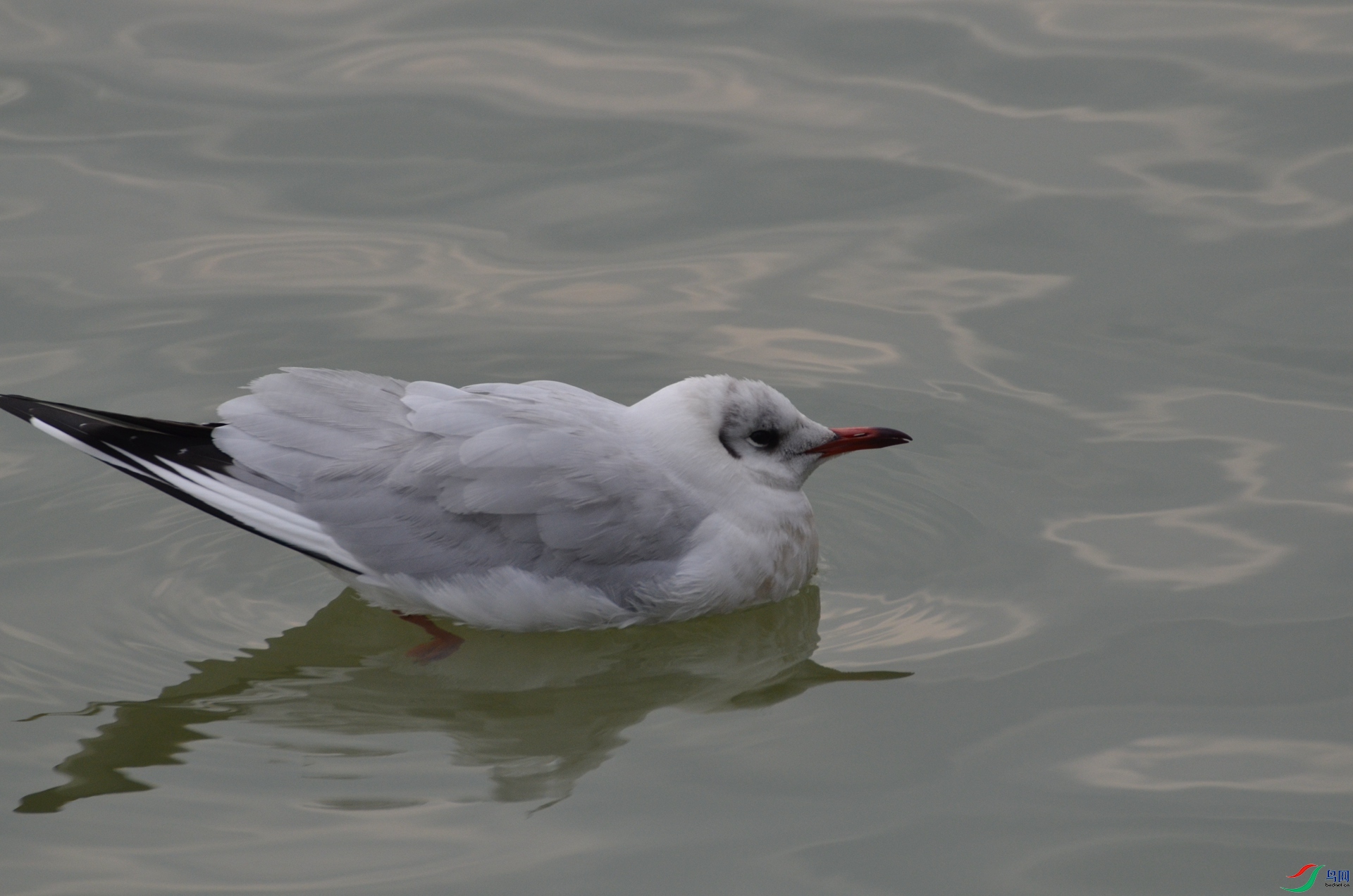 DSC_4012.JPG