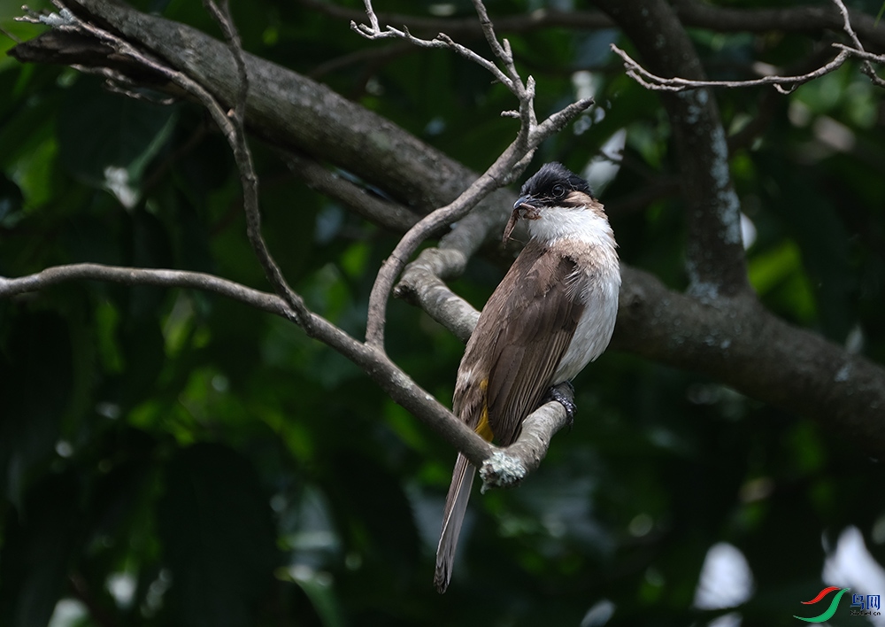 DSCF2722.1.jpg