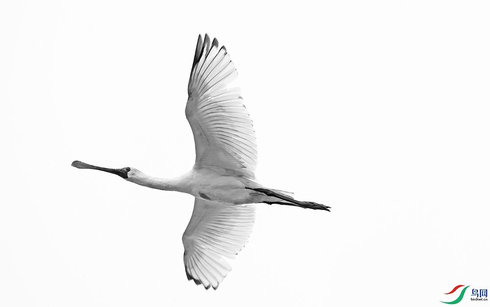 DSCF5966.1.jpg