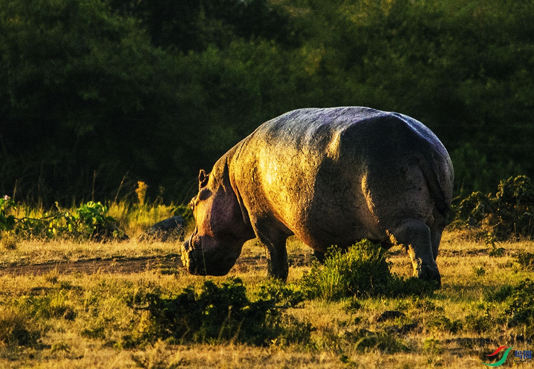 DSC_5936.jpg