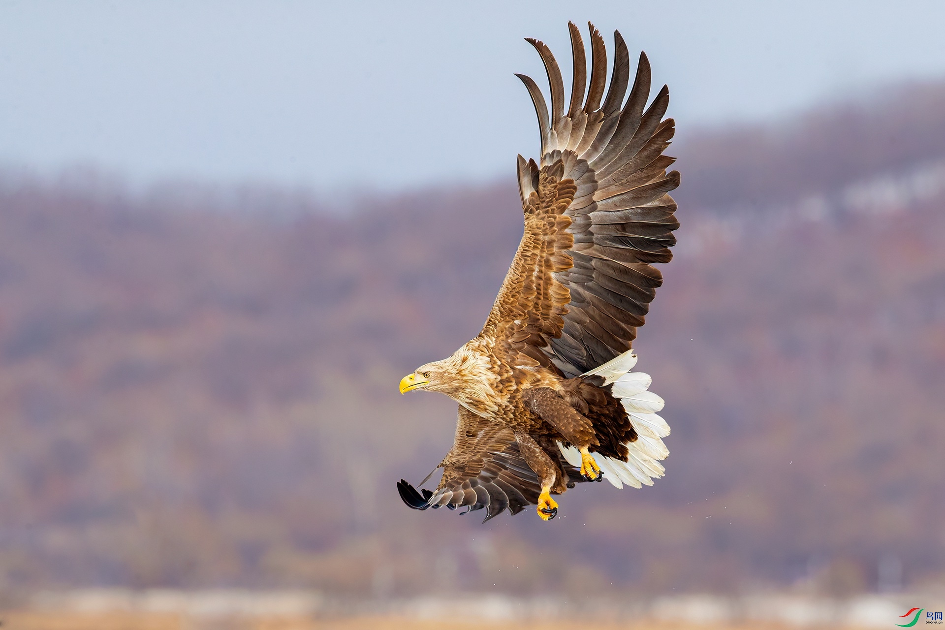 BO1I0134-1 - ����.jpg