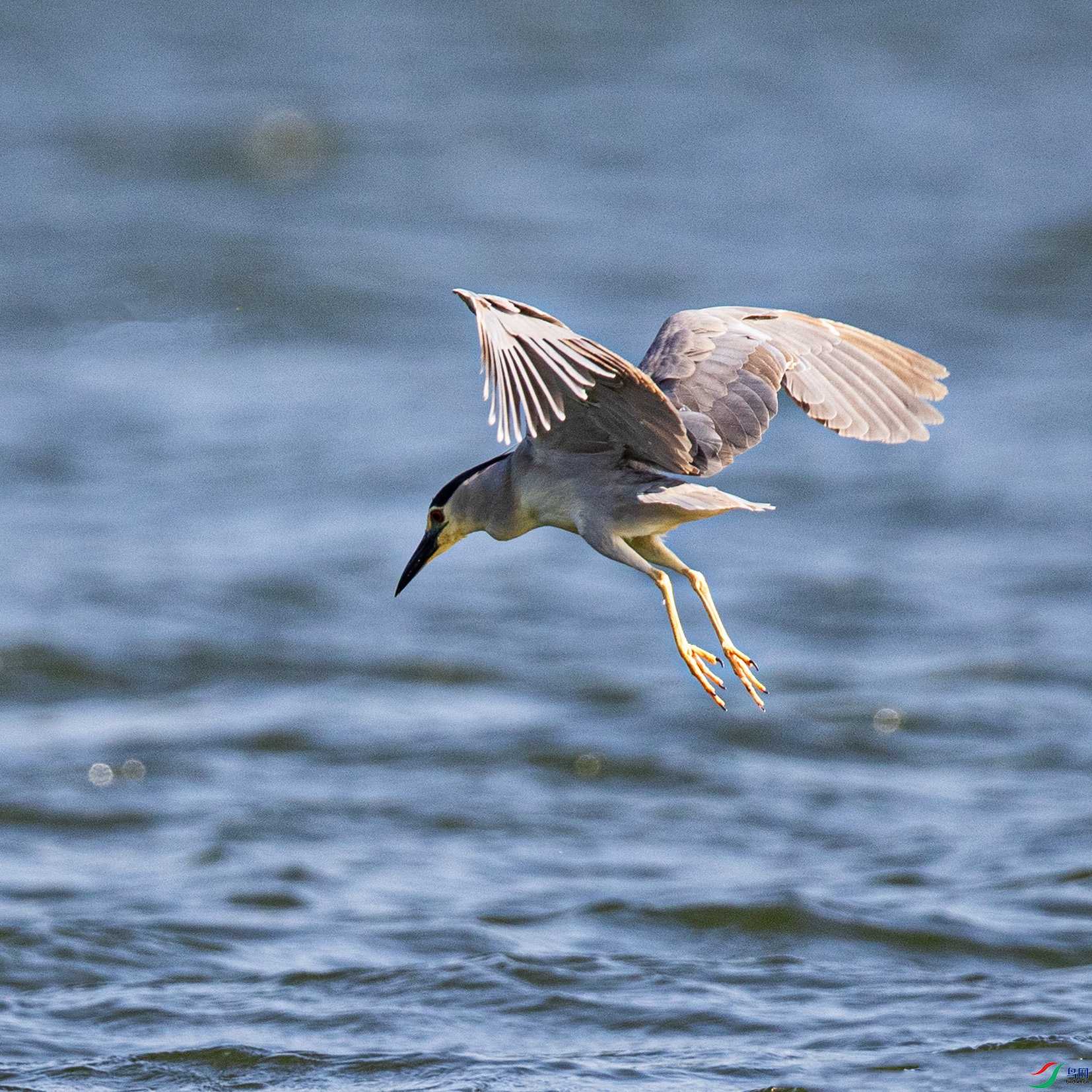 _90I0462 ����.jpg