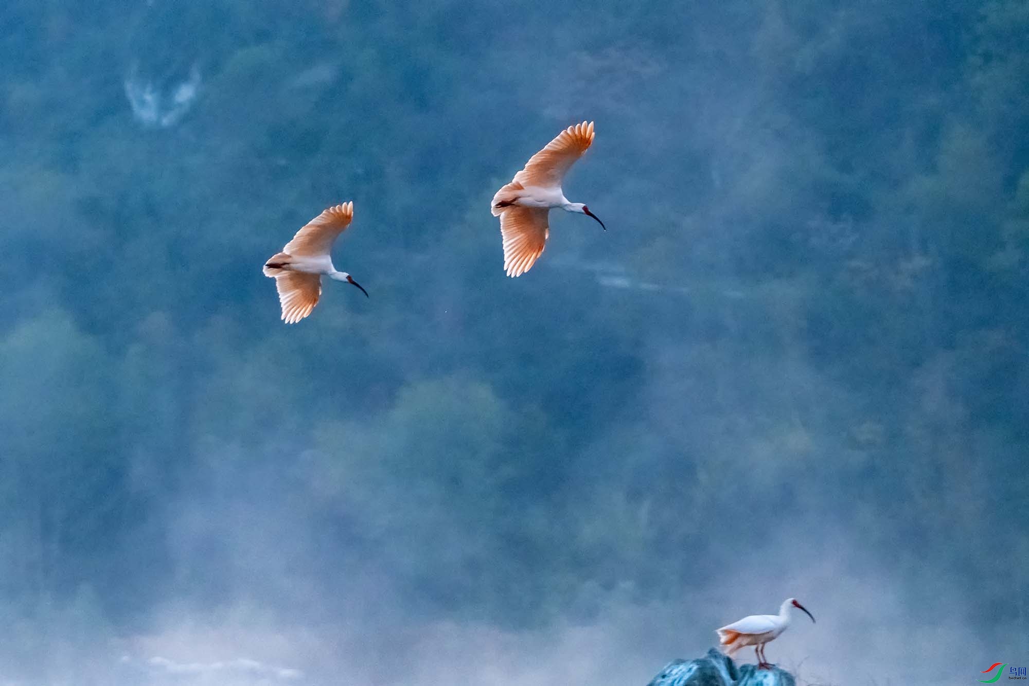 ���q