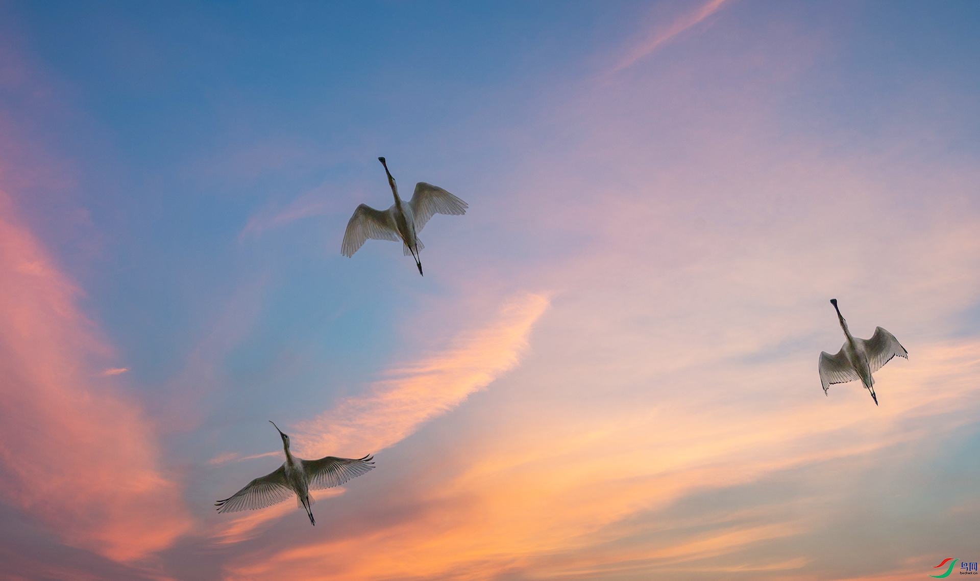 407A5069-Sha---1 .jpg