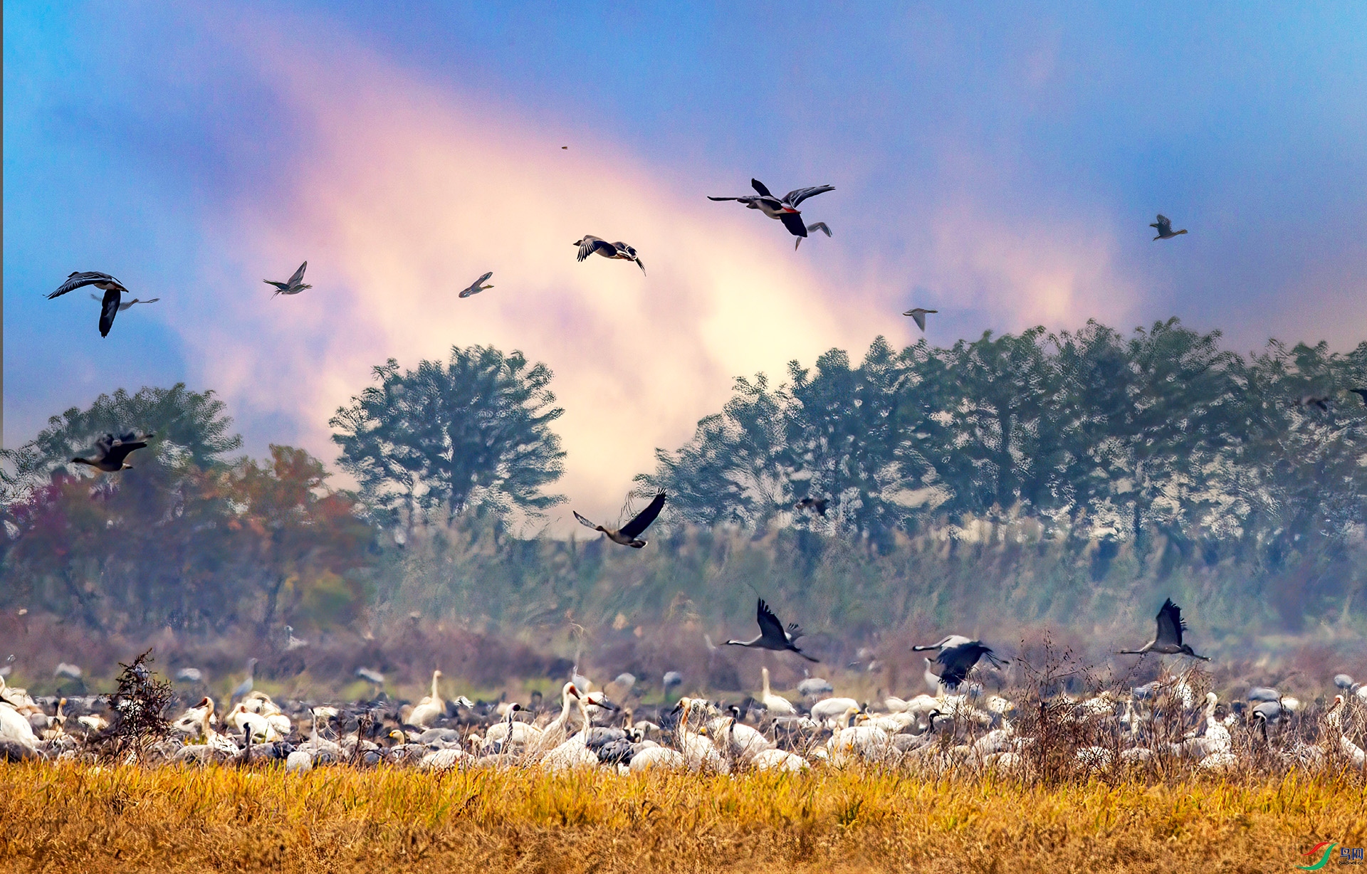 407A0630-Sh---1 .jpg