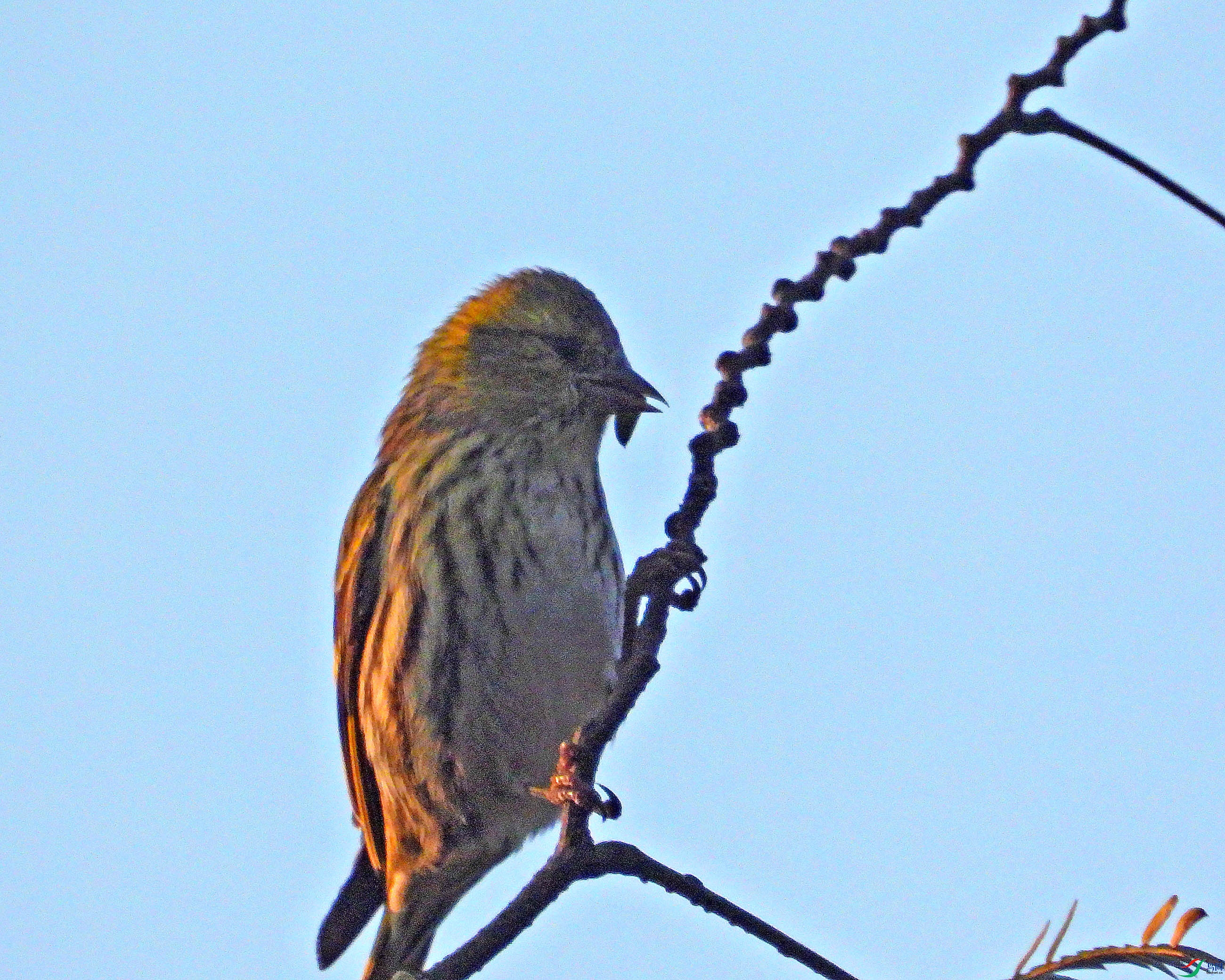 DSCN1704.JPG
