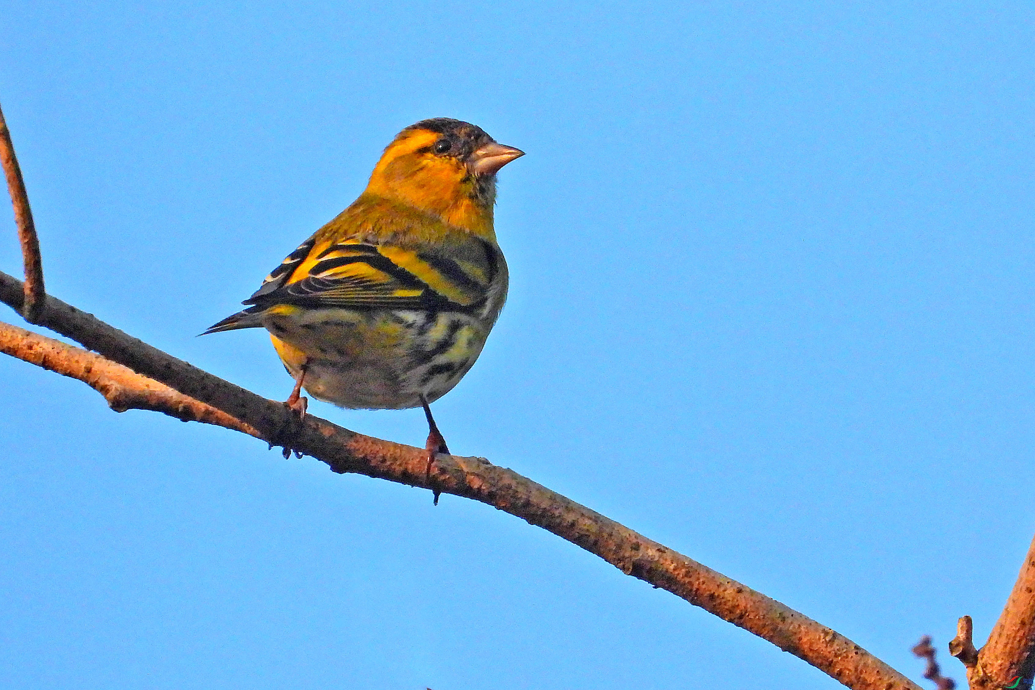 DSCN1708.JPG