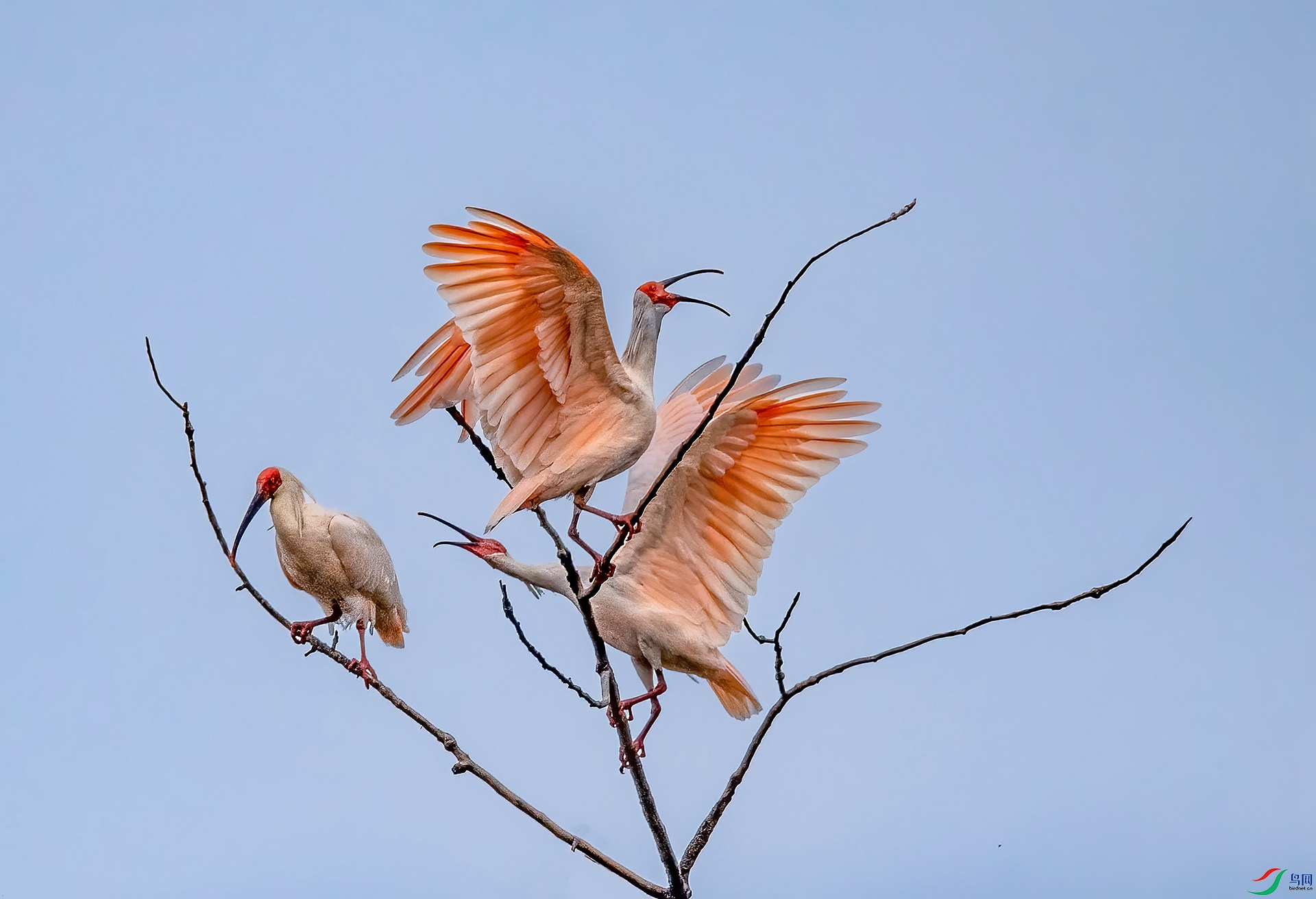 DSC_2682 ����_����.jpg