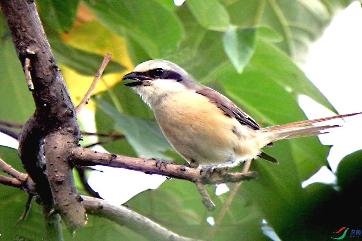 IMG_2402�� ѹ����.jpg