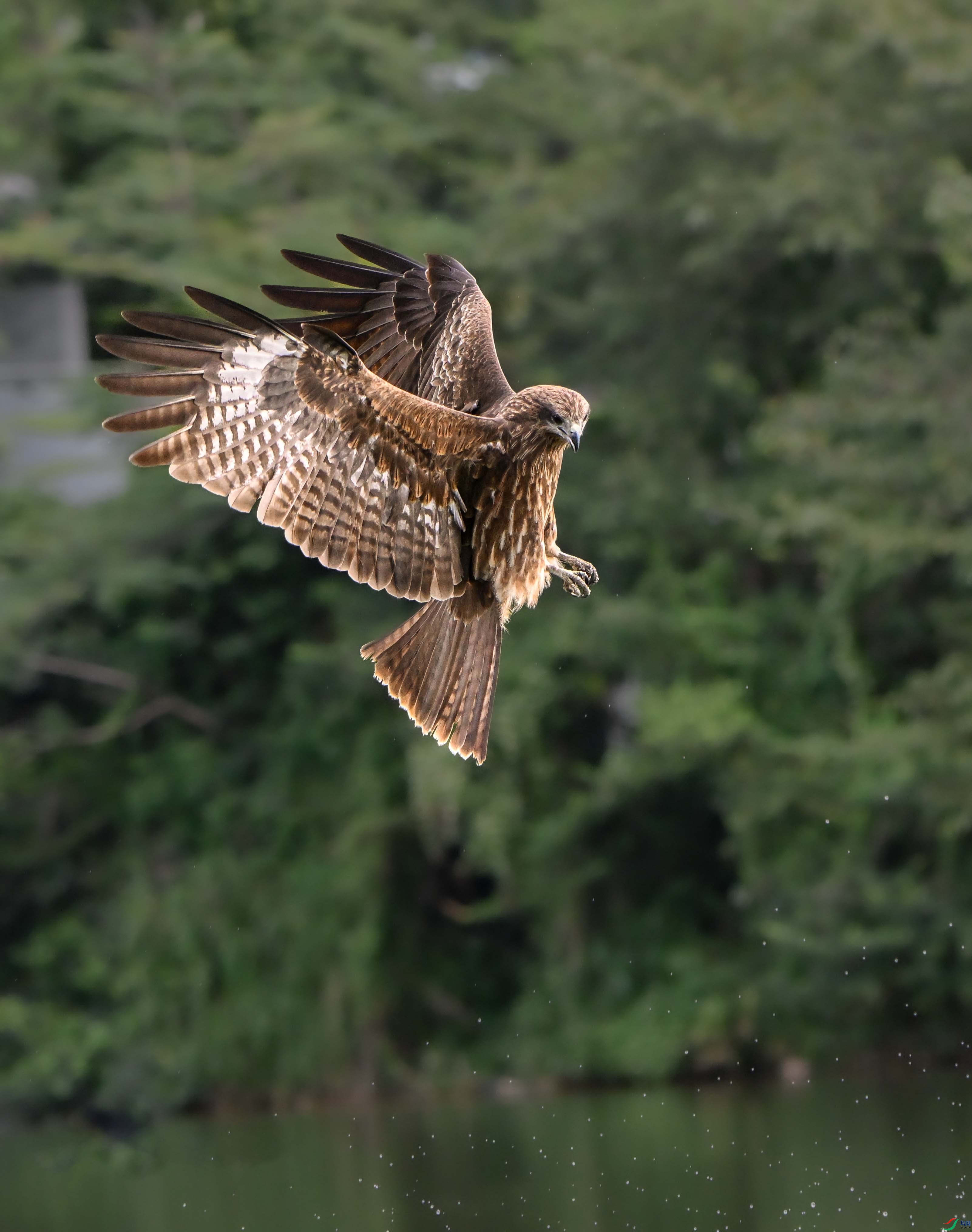 DSC_4167_����1.jpg