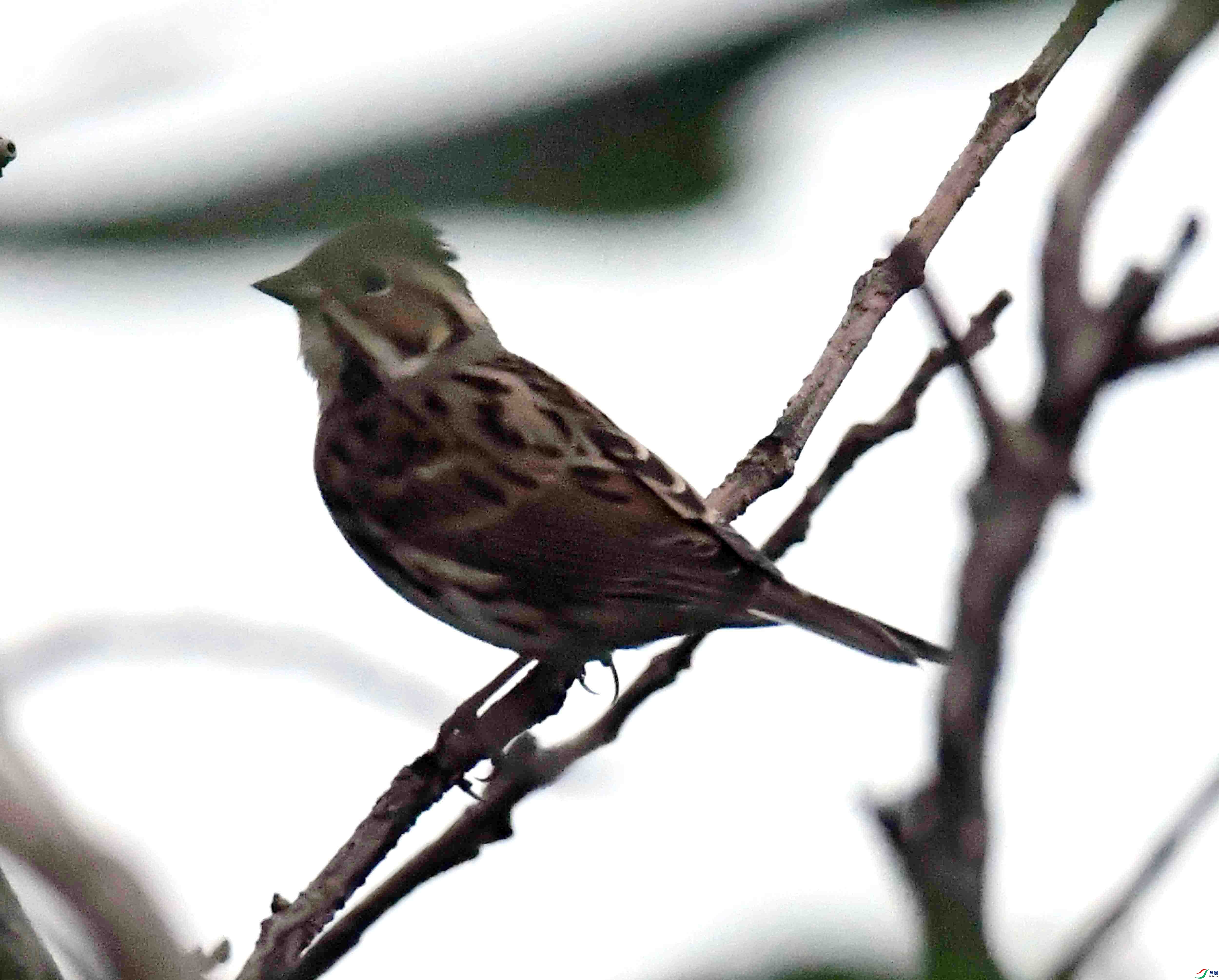 DSC_3727.JPG