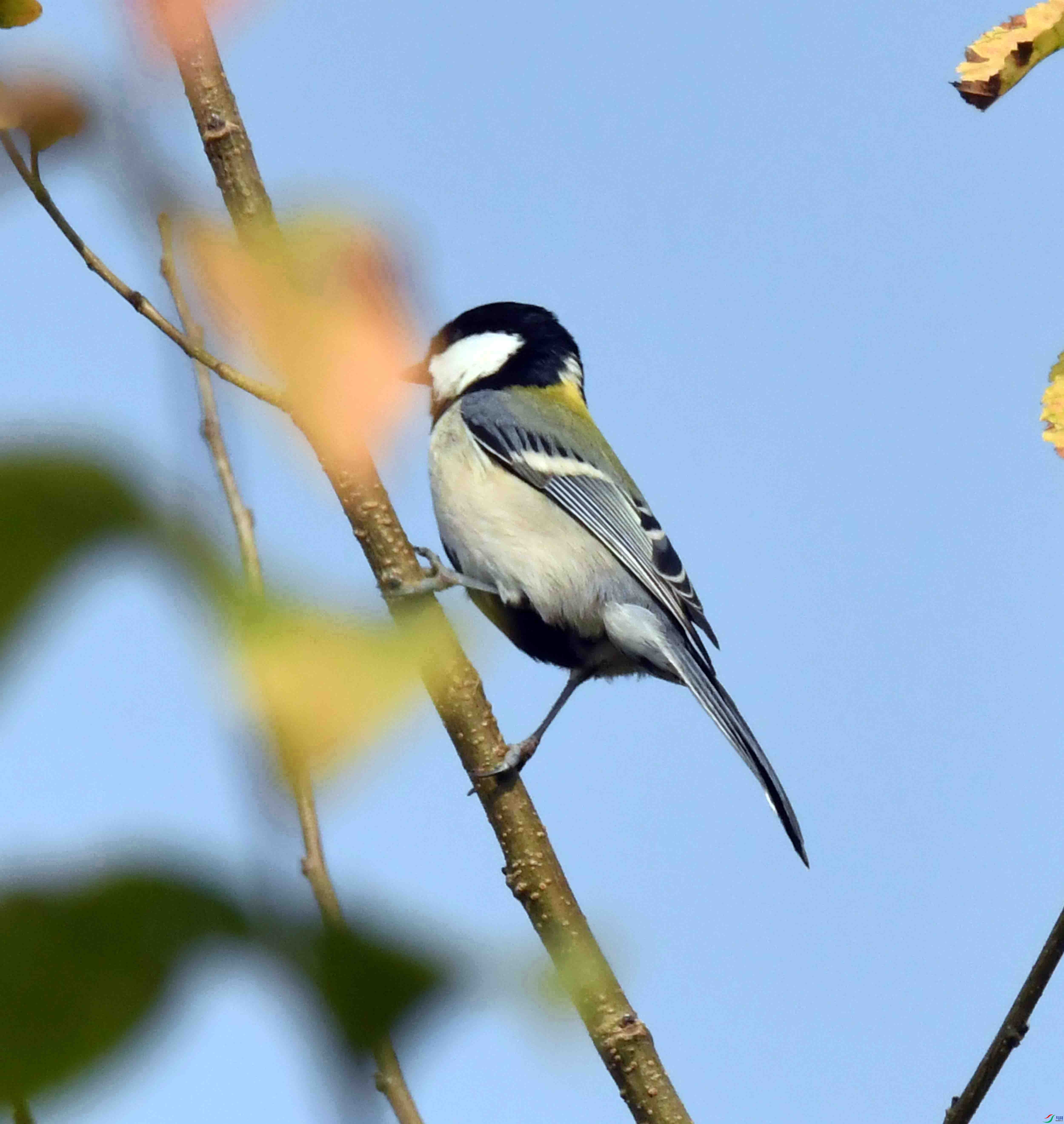 DSC_0642.JPG