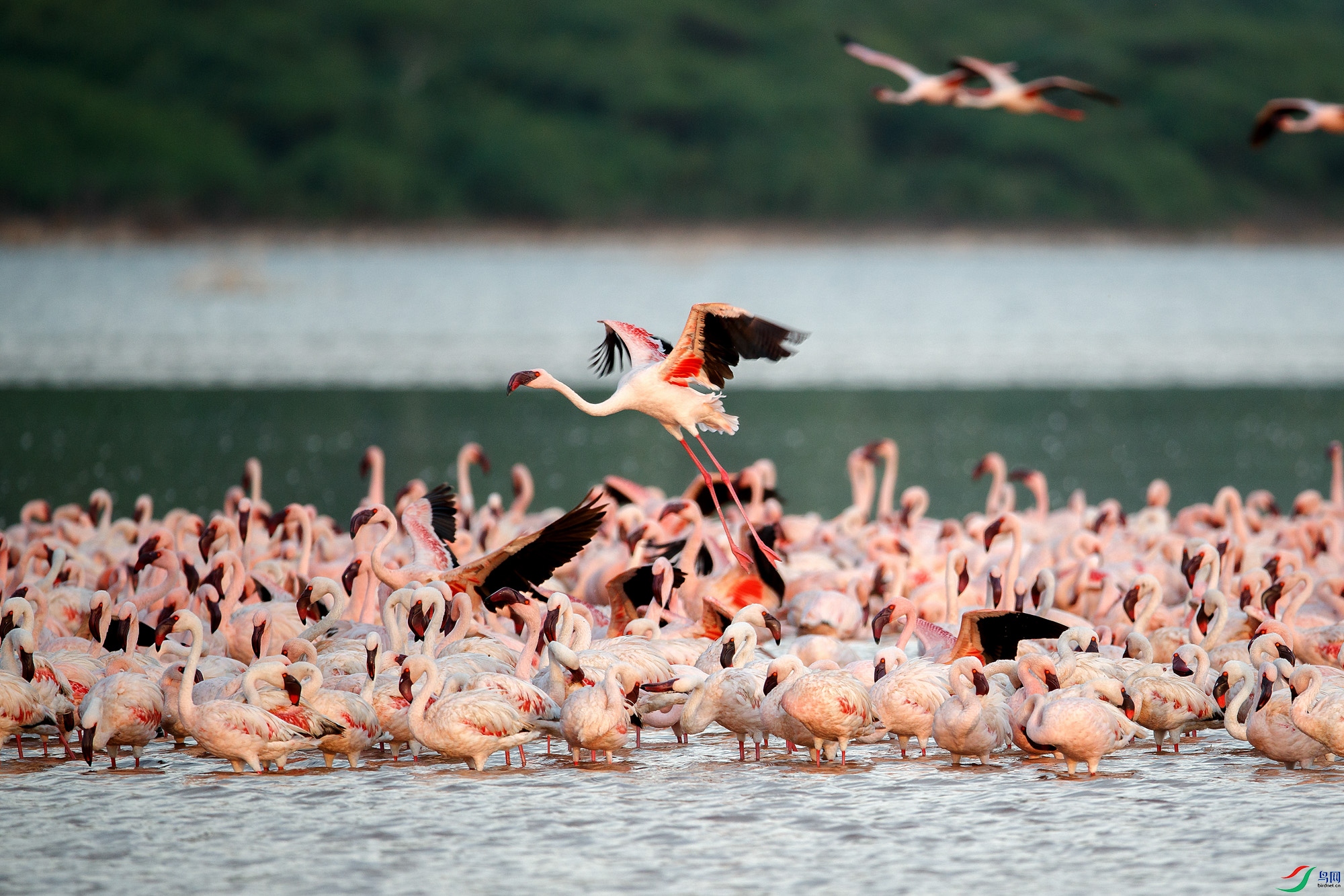 AQ9I9788 ����.jpg