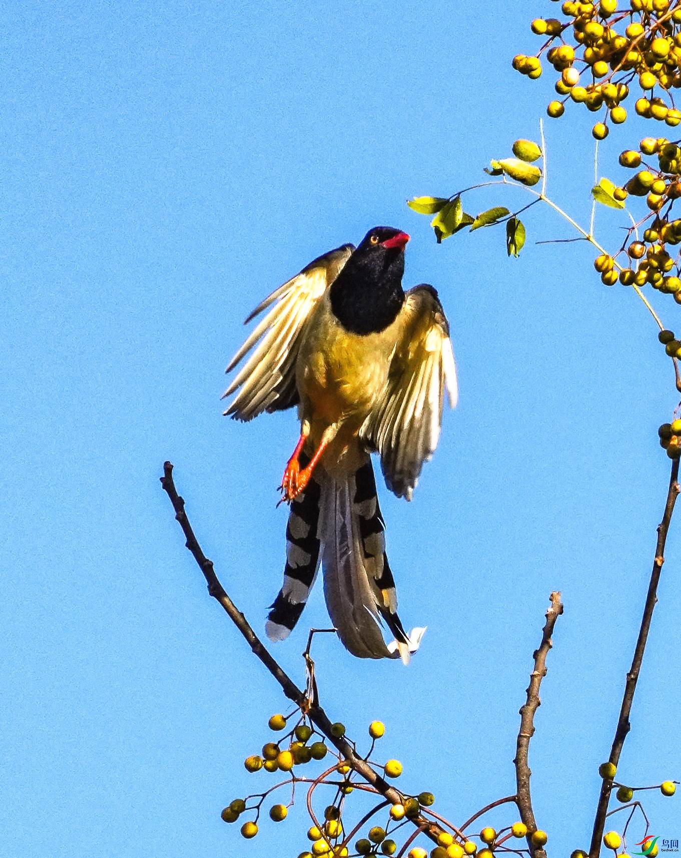 051DSC07258_1_����.jpg