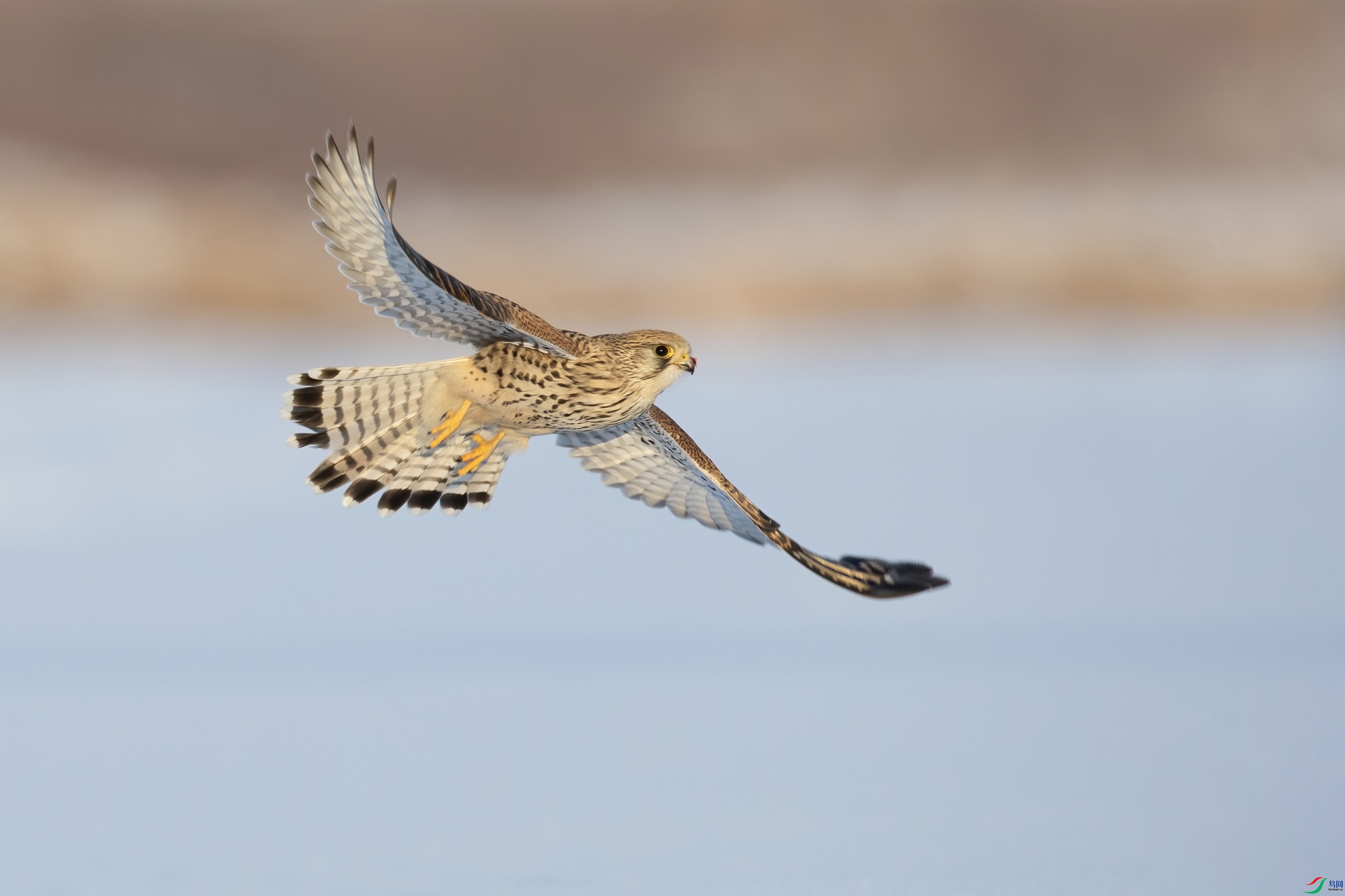 _K6I1247 ����.jpg