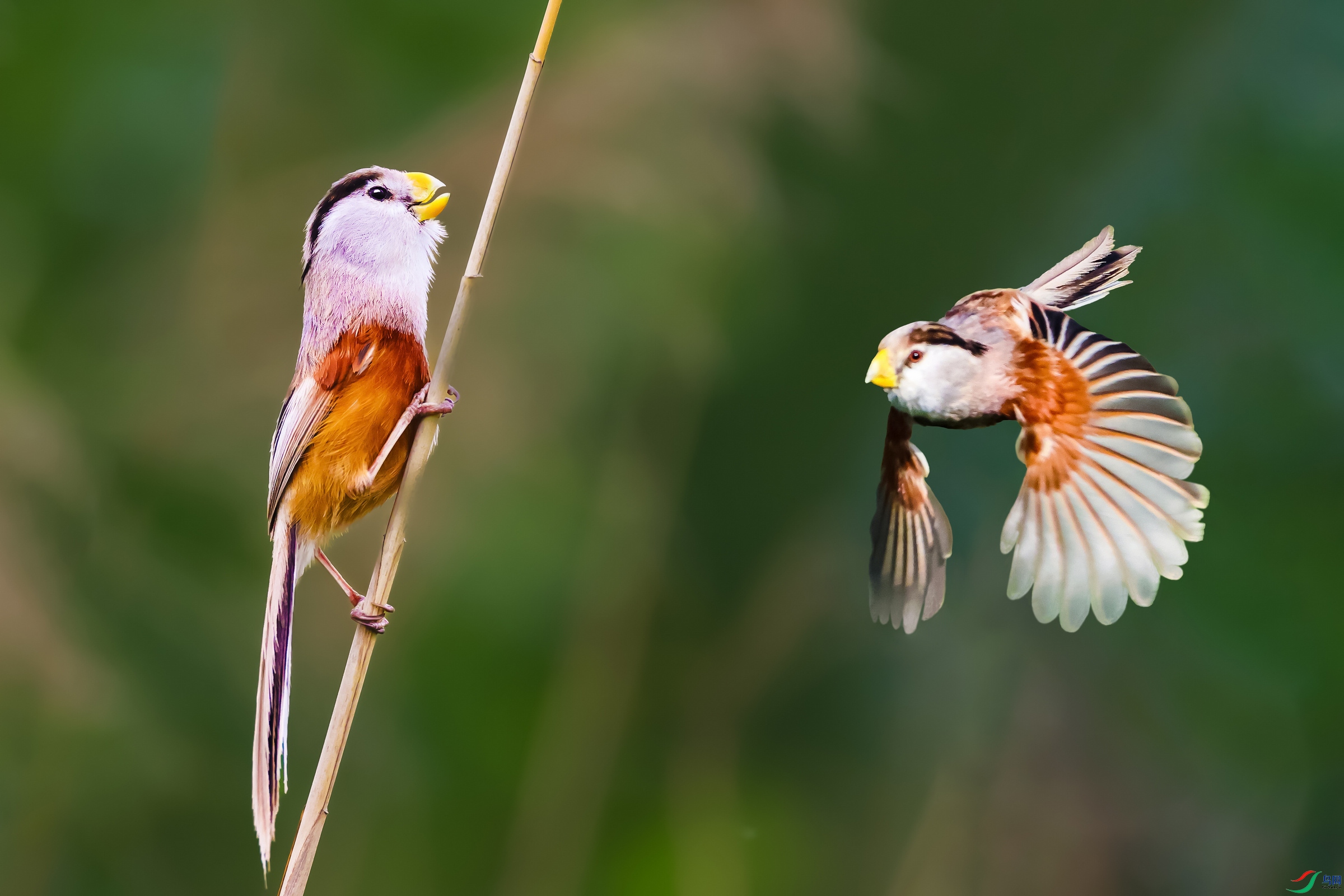 A56I4852 ���� 2.jpg