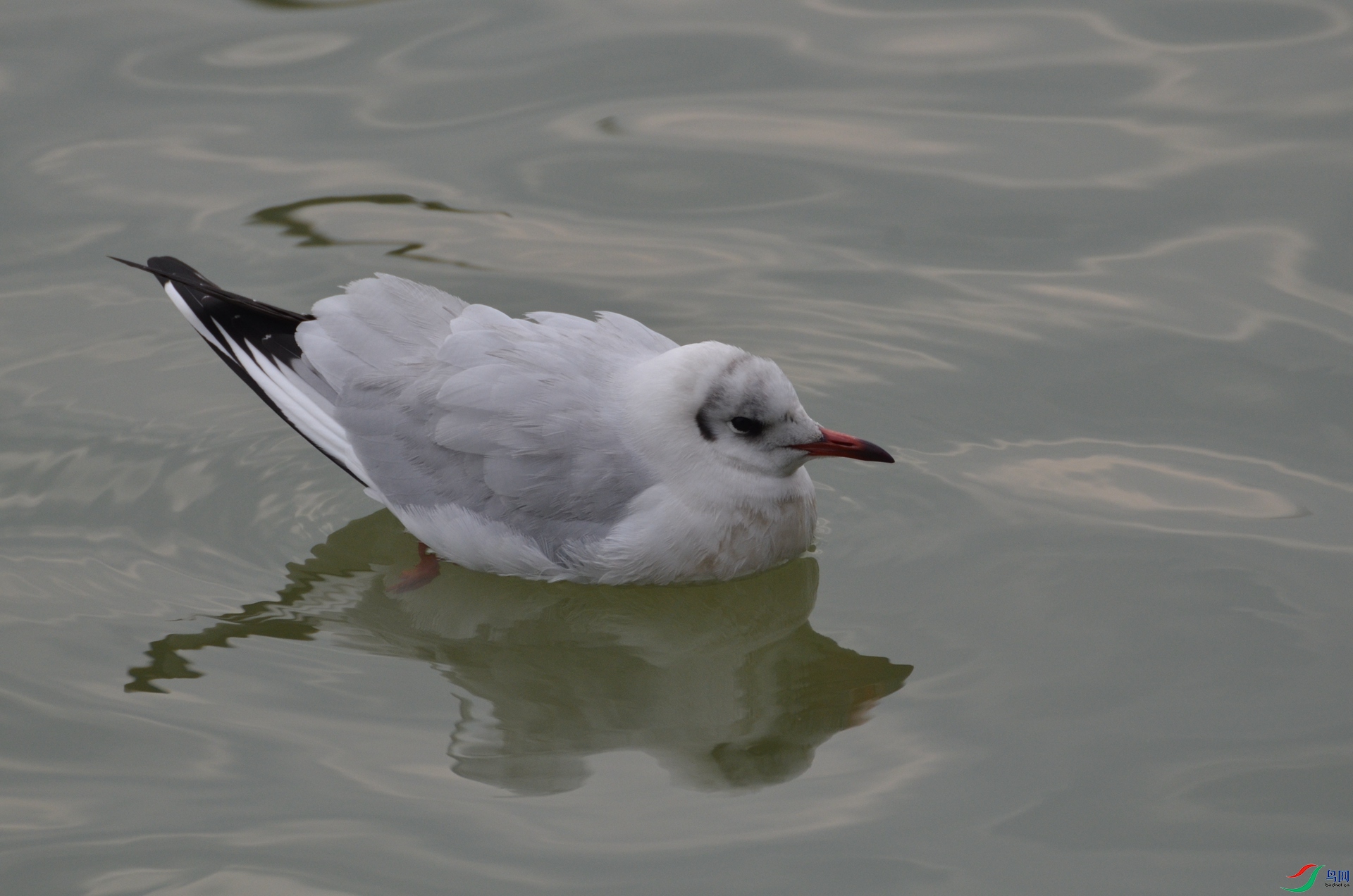 DSC_4011.JPG