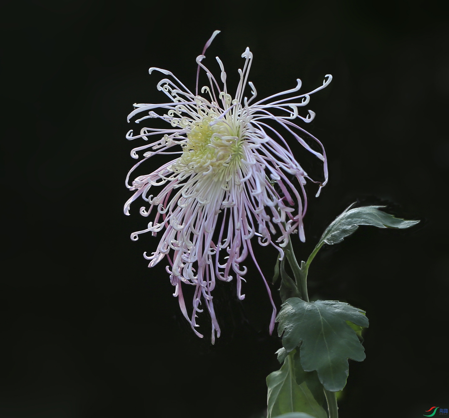 0020358322U9A9959 ����� 1000k.jpg