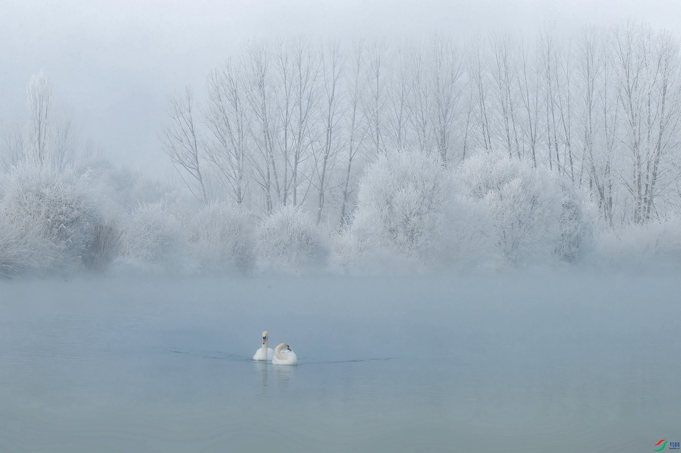 DSC_5573 ���� 5CF03.jpg