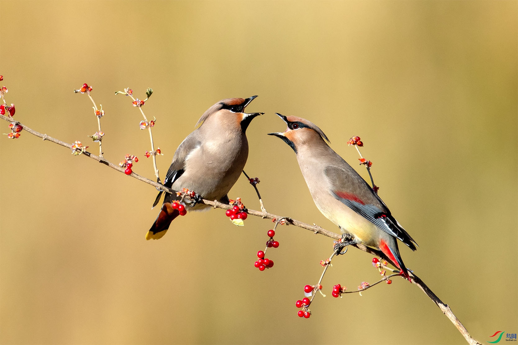 JHGS9599 ����.jpg