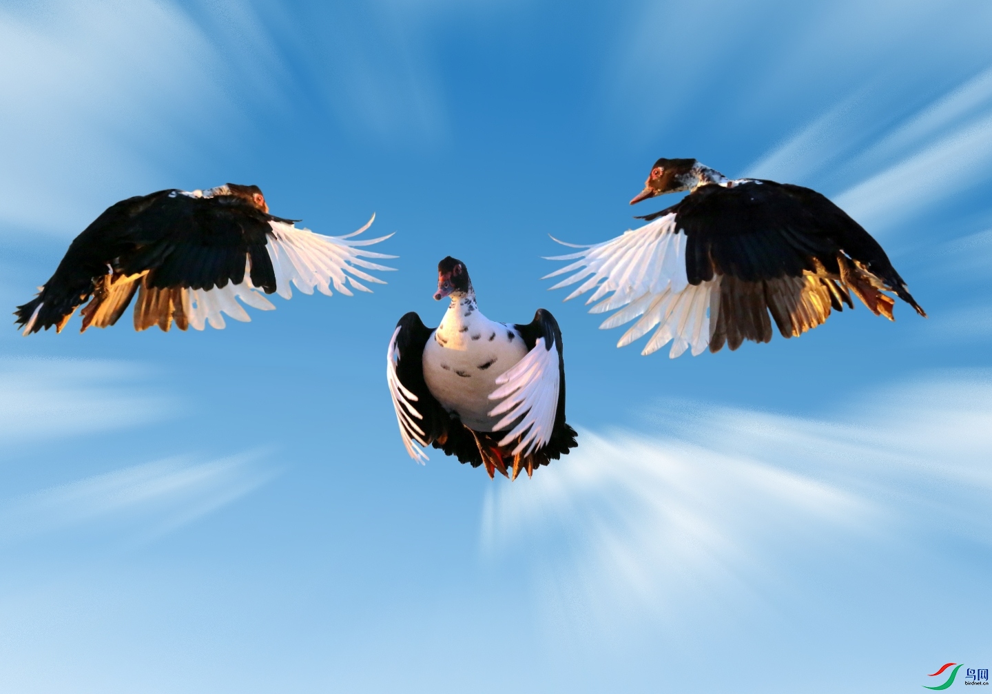 PicsArt_11-30-04.56.38.jpg