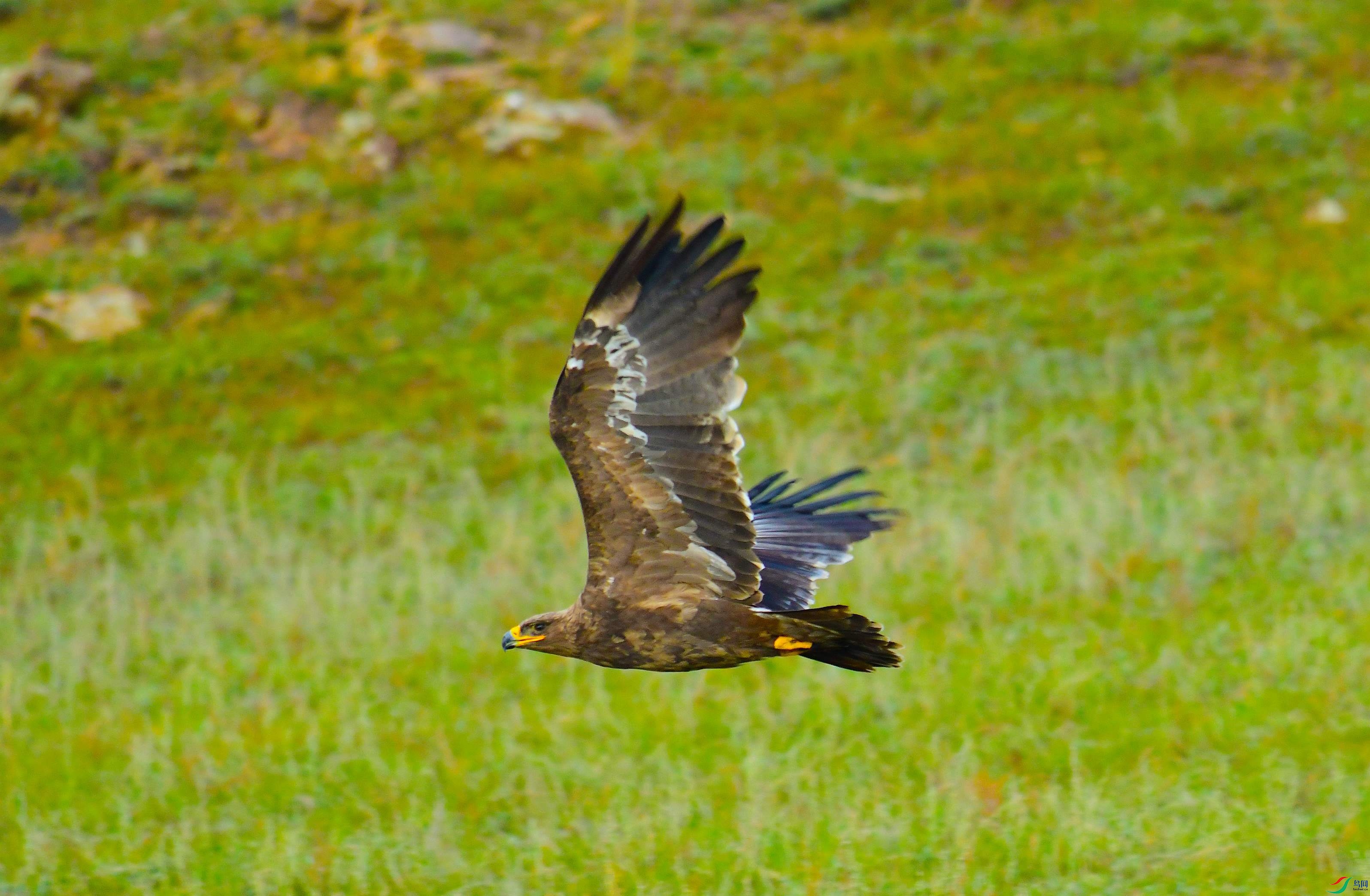 DSC_4309.JPG