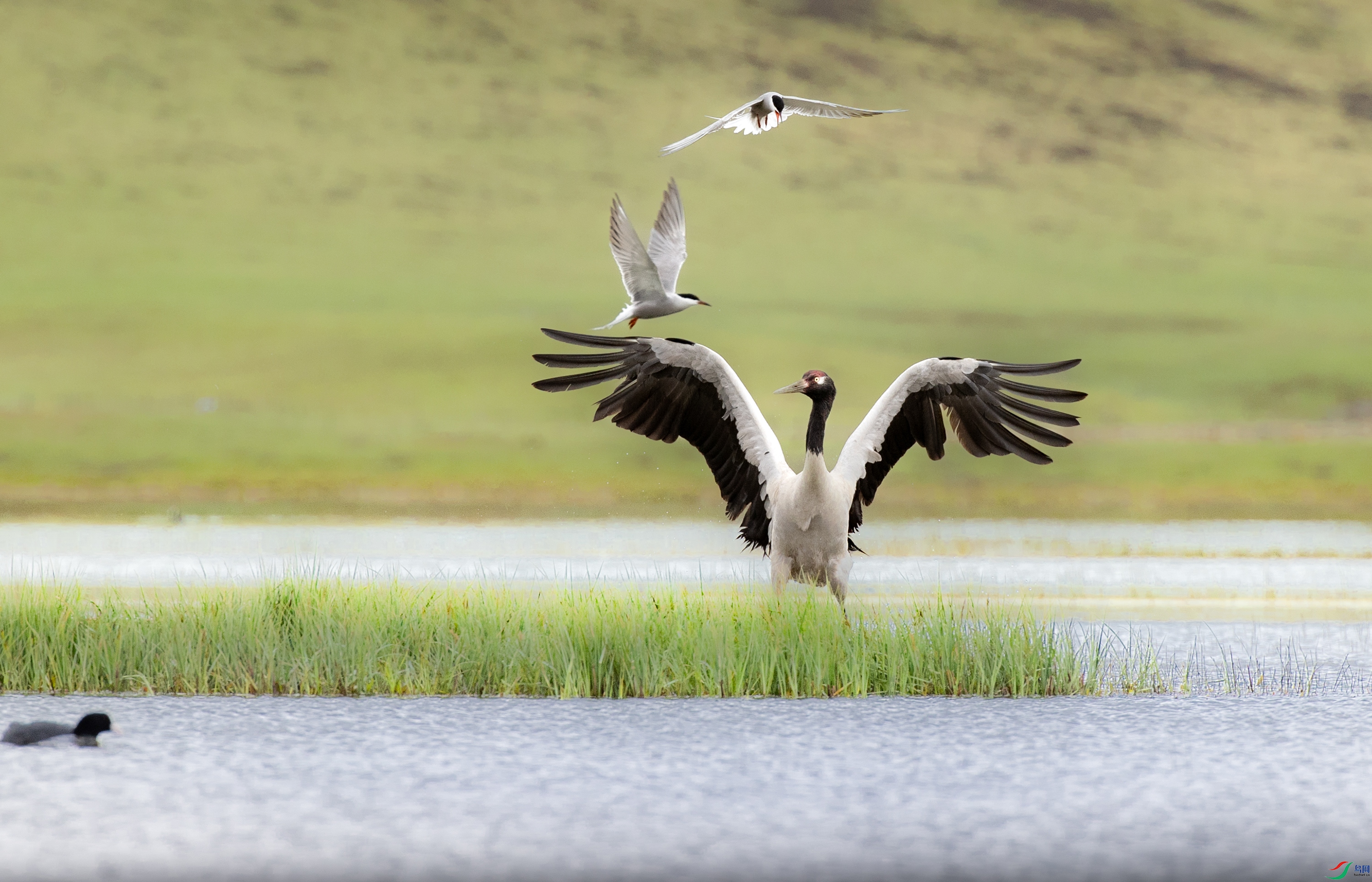 A15I2641 ����.jpg-213.jpg