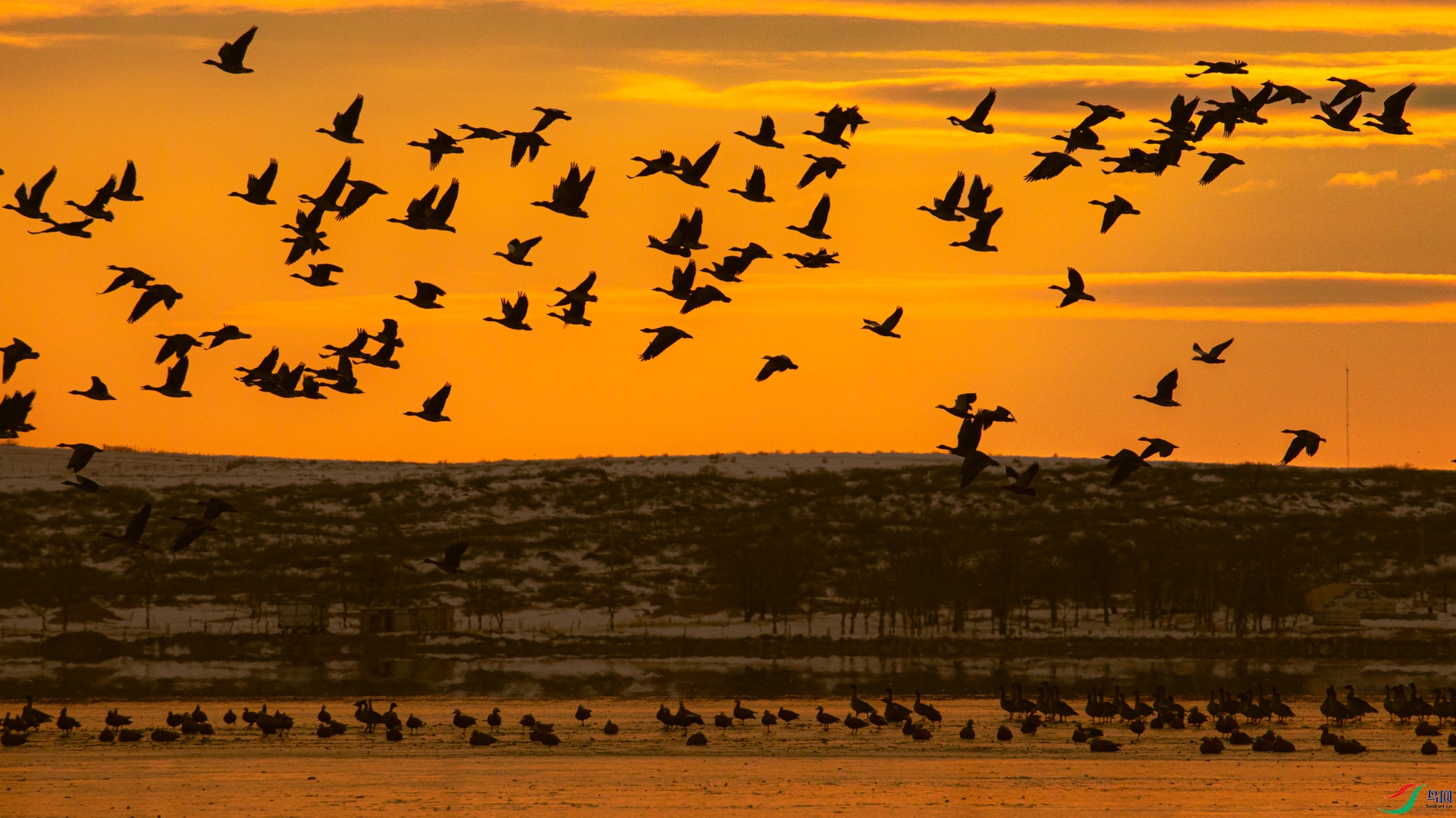 ��ϼ��������