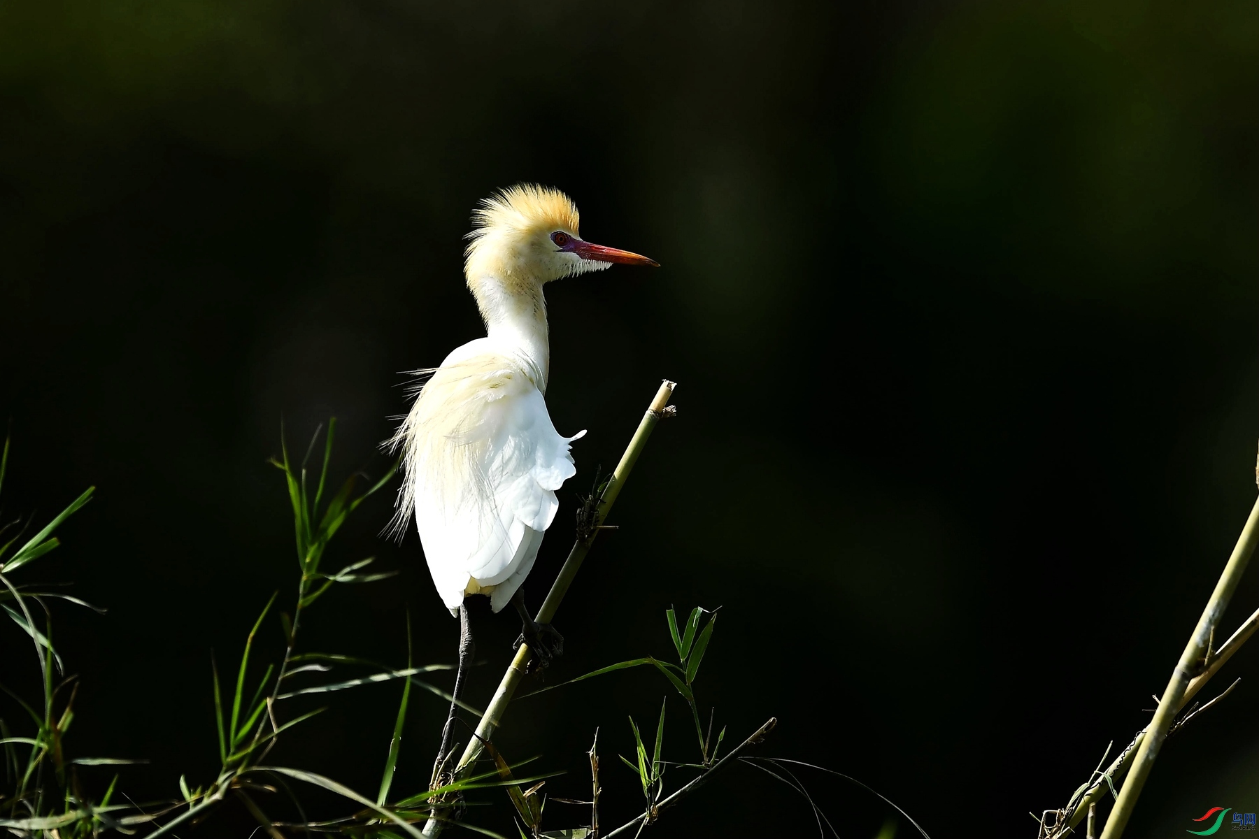 DSC_5615_����.jpg