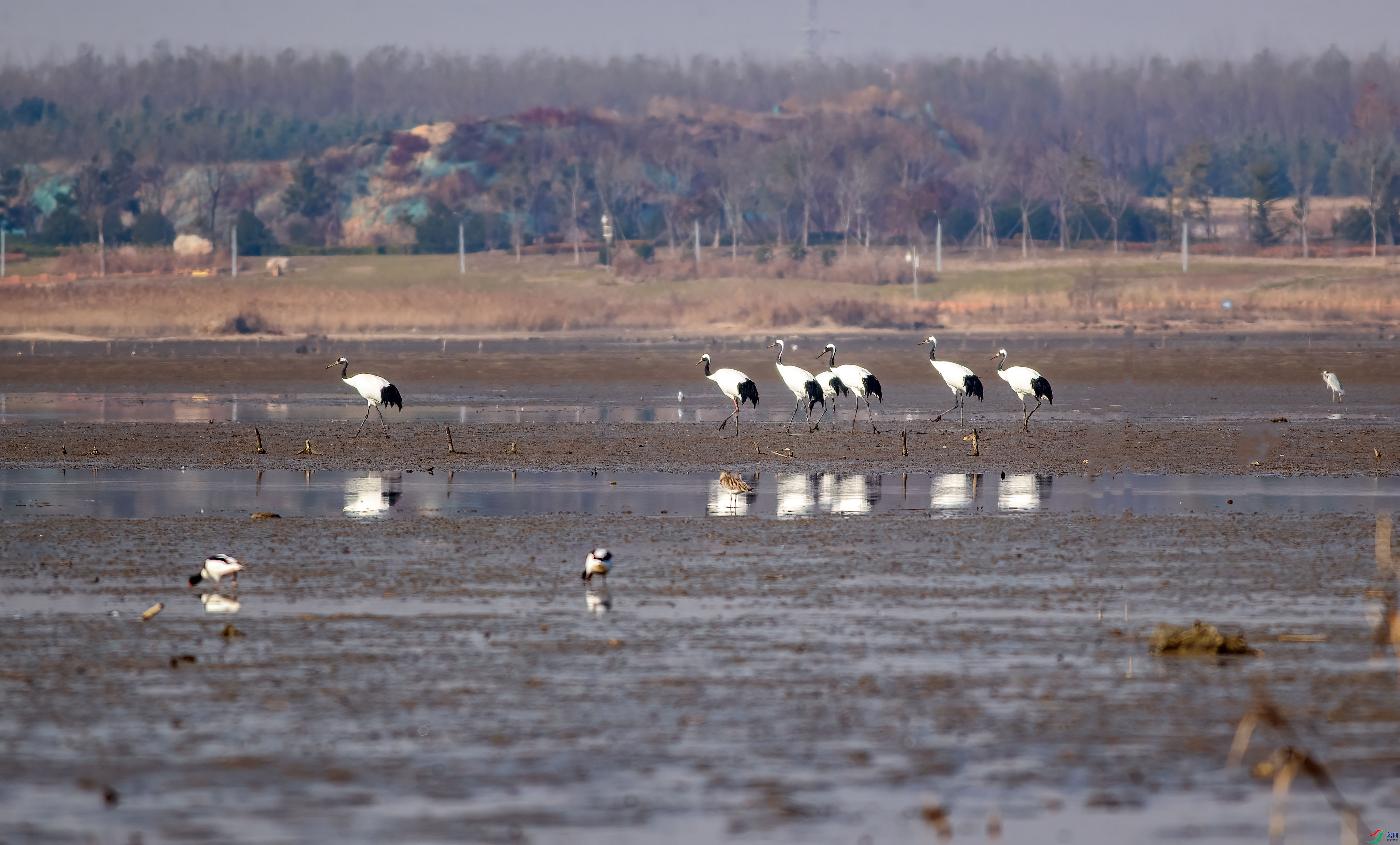 IMG_3232 ����.jpg